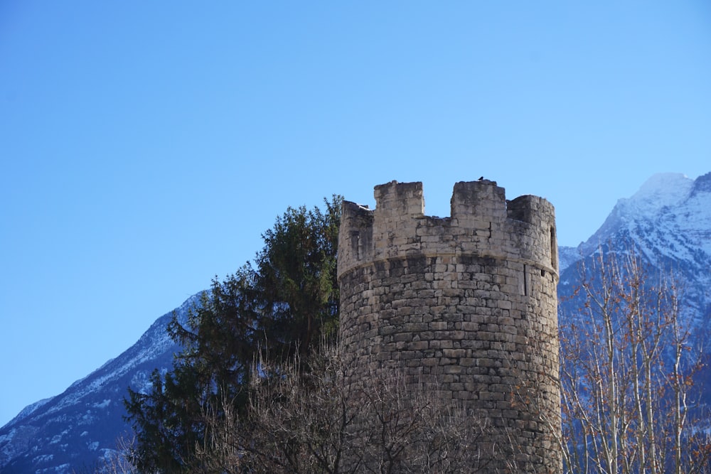 Ein Schloss mit einem verschneiten Berg im Hintergrund
