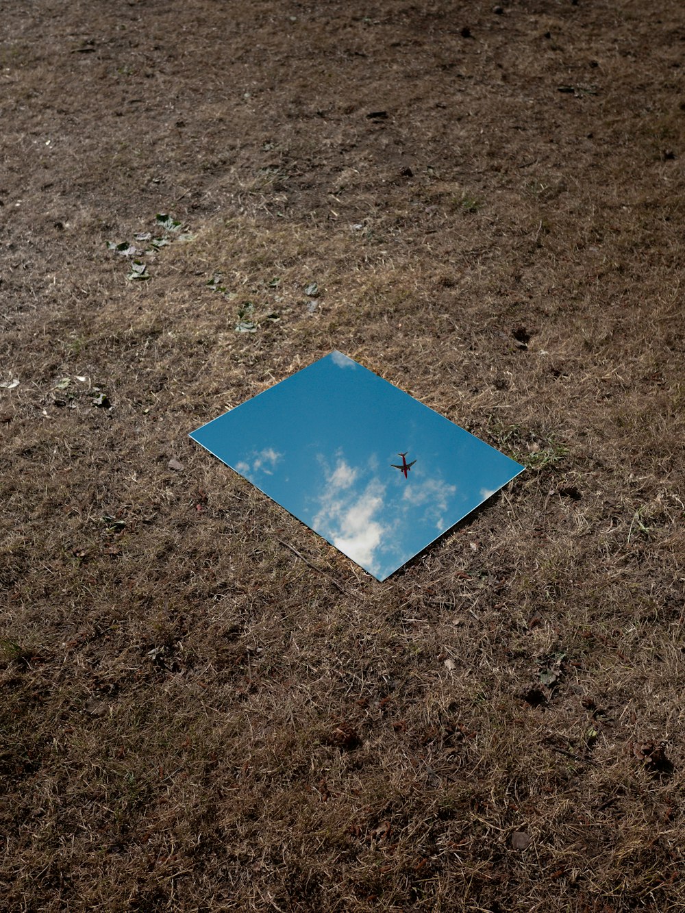 a square shaped mirror on the ground with a plane in the sky