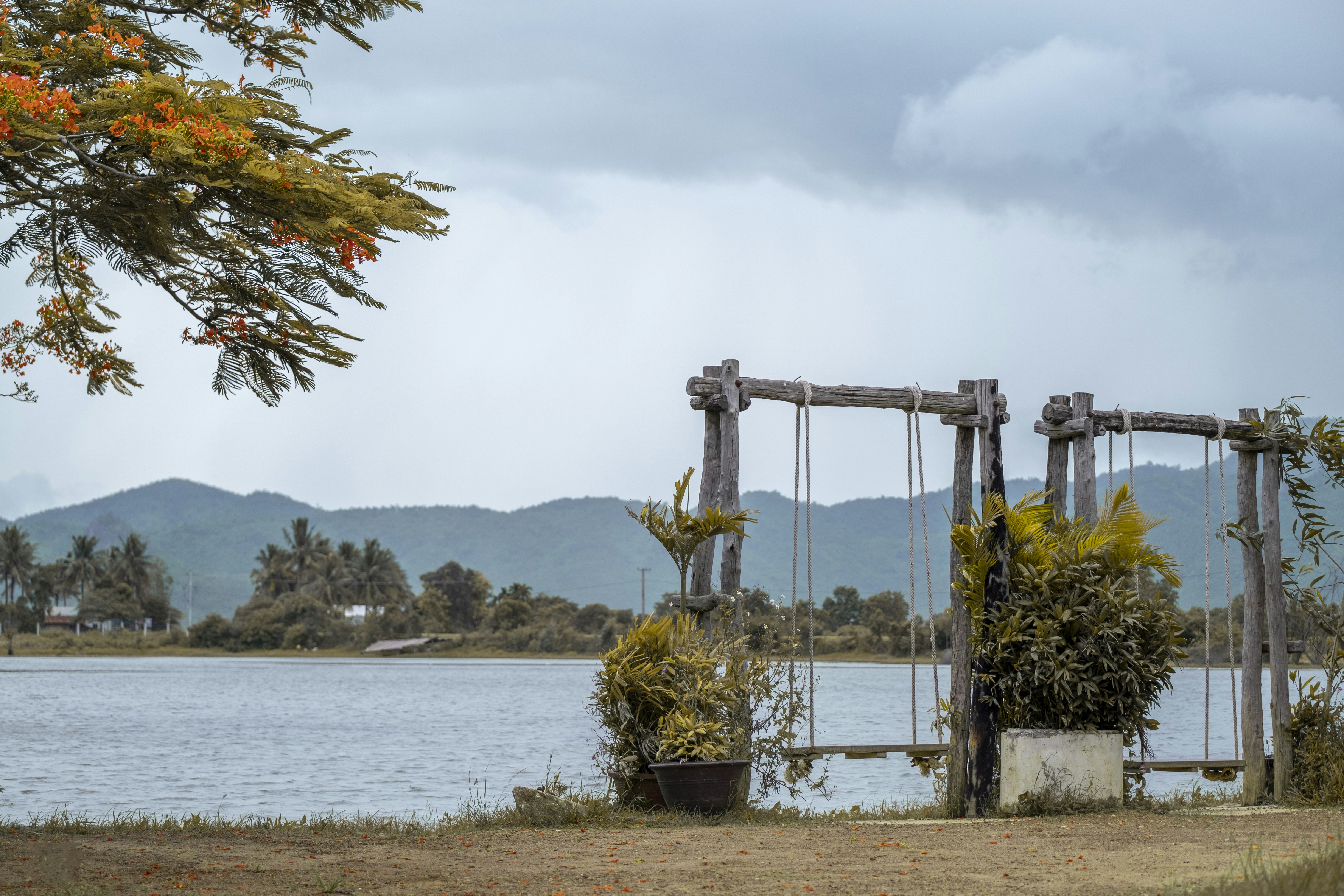 a large body of water sitting next to a lush green forest