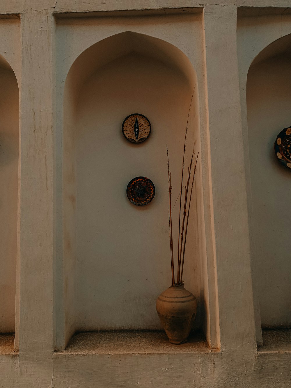 a vase with a plant in it next to a wall with clocks on it