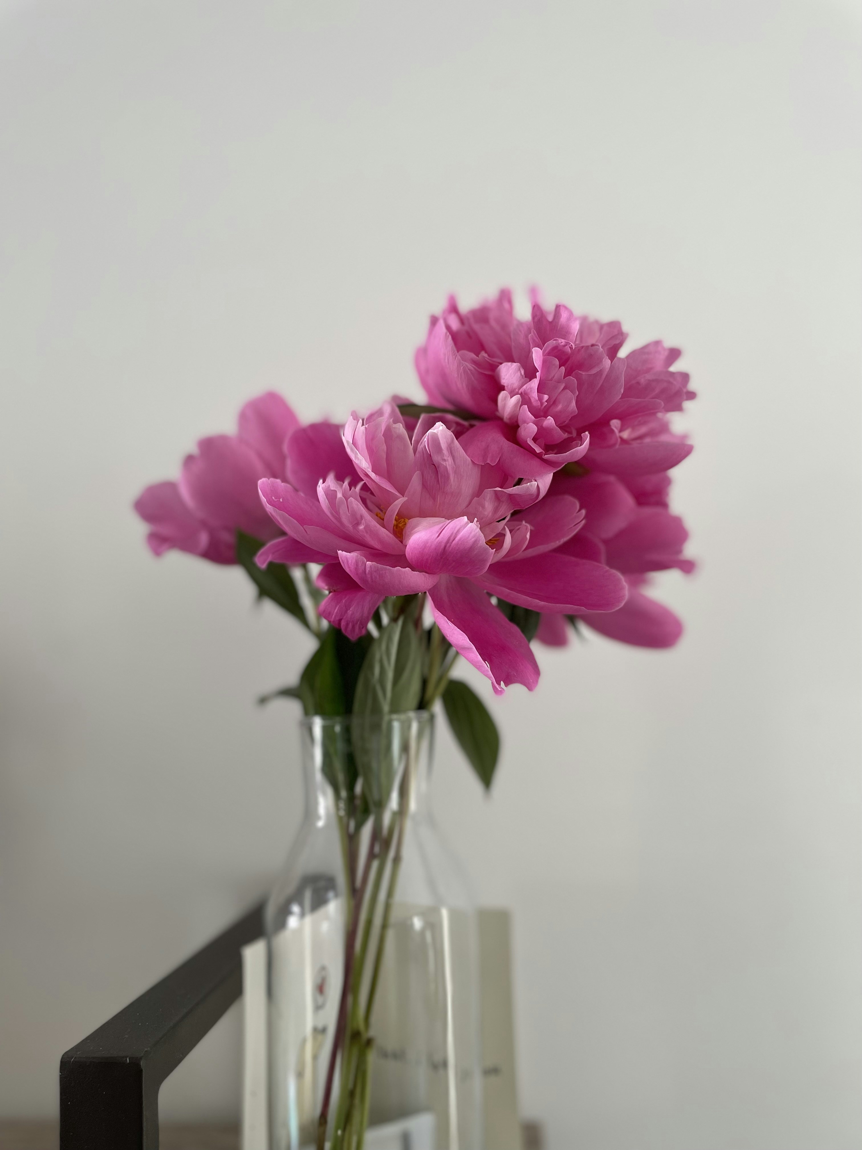 Pink Peony Flower Bouquet