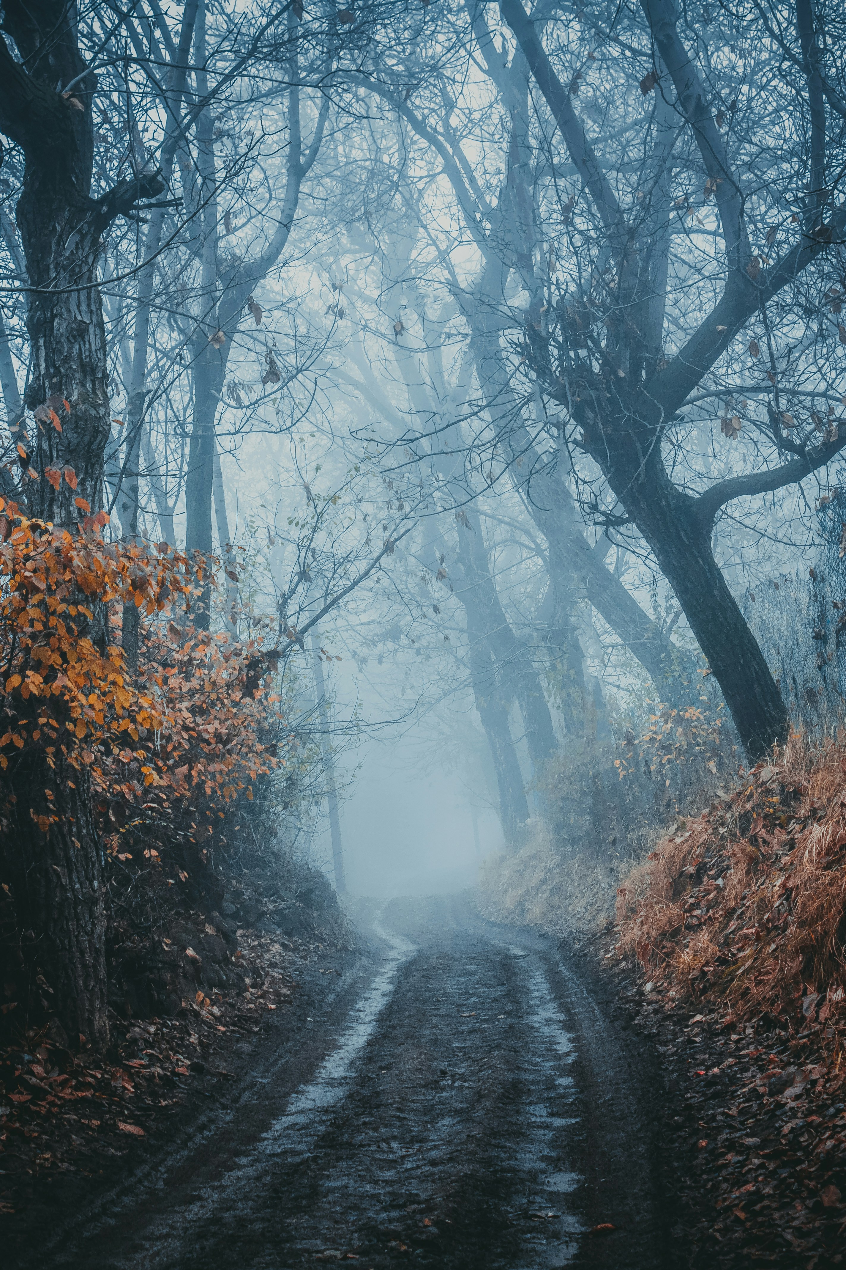 Photo by arvin_graphy