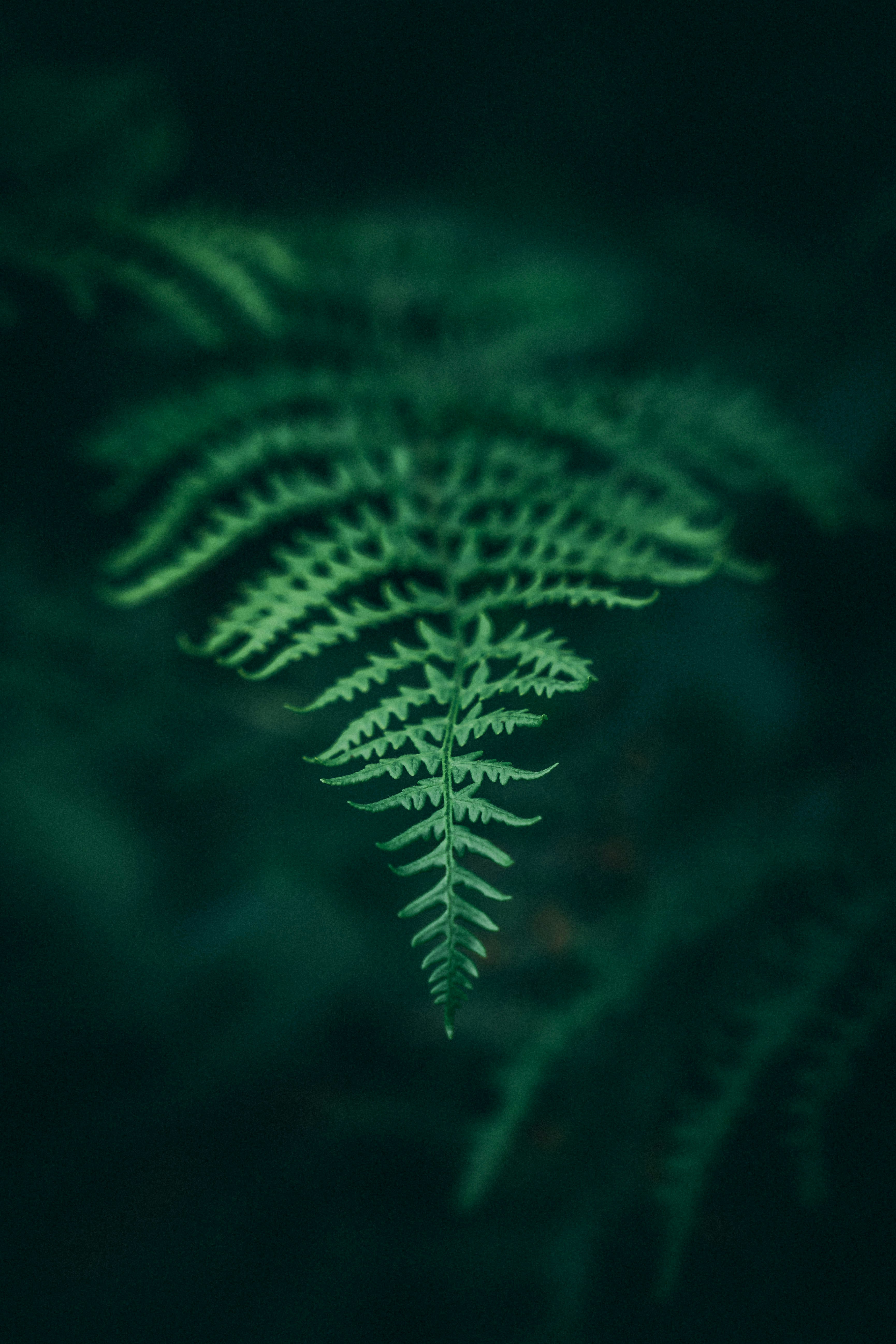 Photo by arvin_graphy