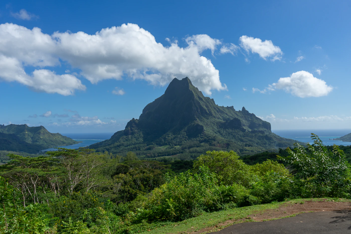Green peaks and forest seen from the Belvedere Lookout on Moorea