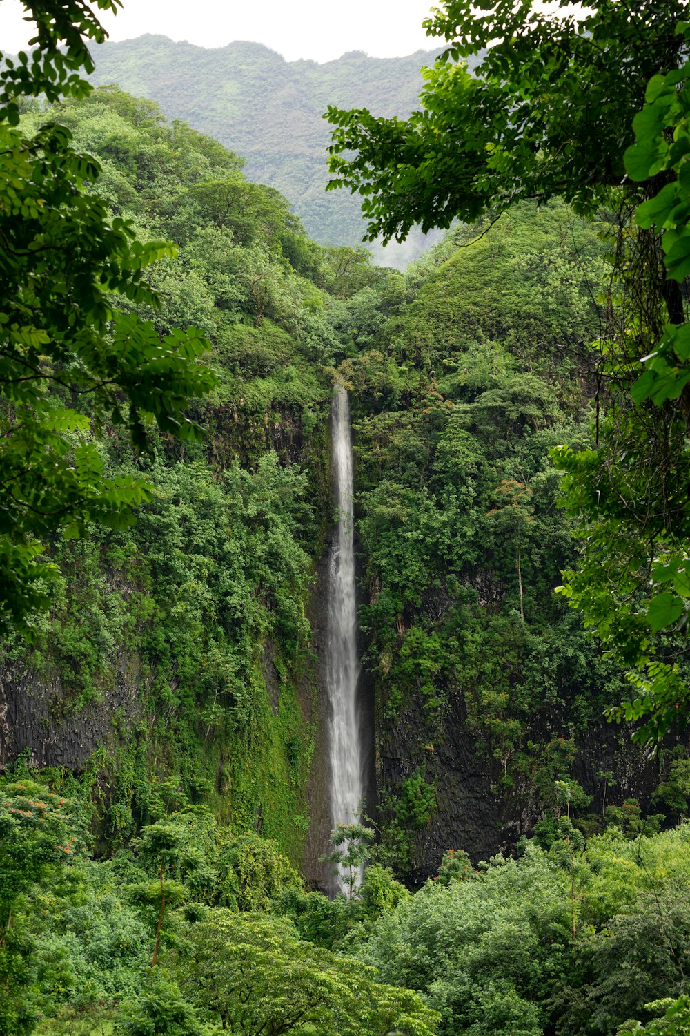 a waterfall in the middle of a lush green forest