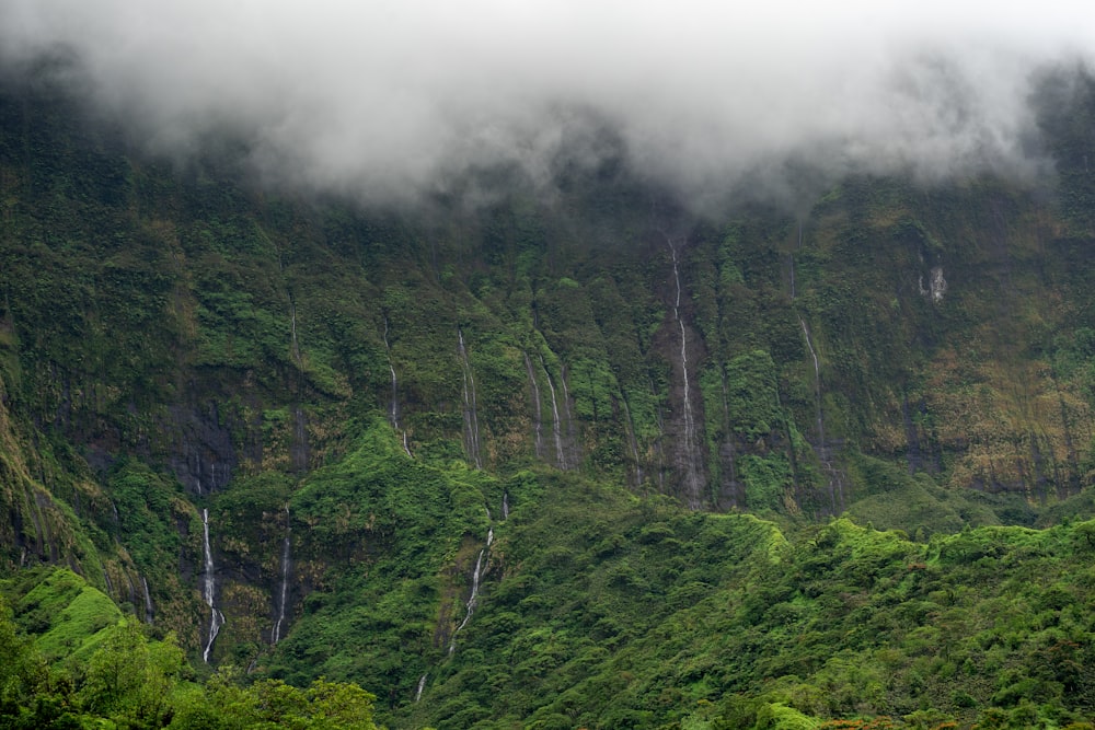 a lush green mountain covered in clouds and trees