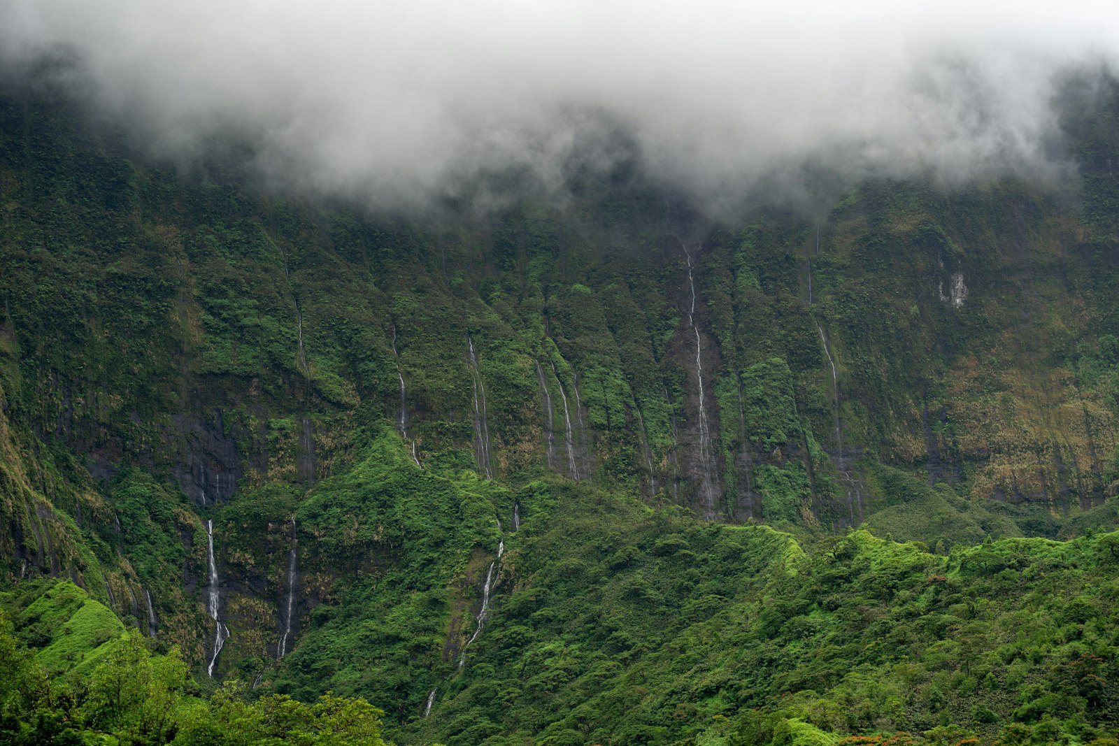 Lush green mountains and cascading rainforest slopes on Tahiti after rain