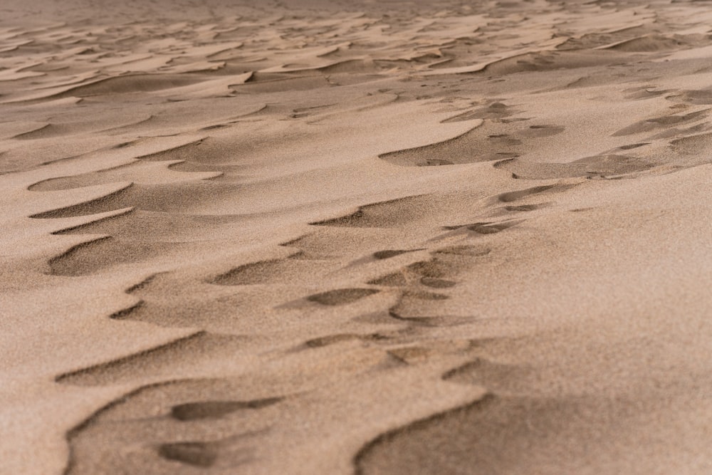 a sandy beach with footprints in the sand