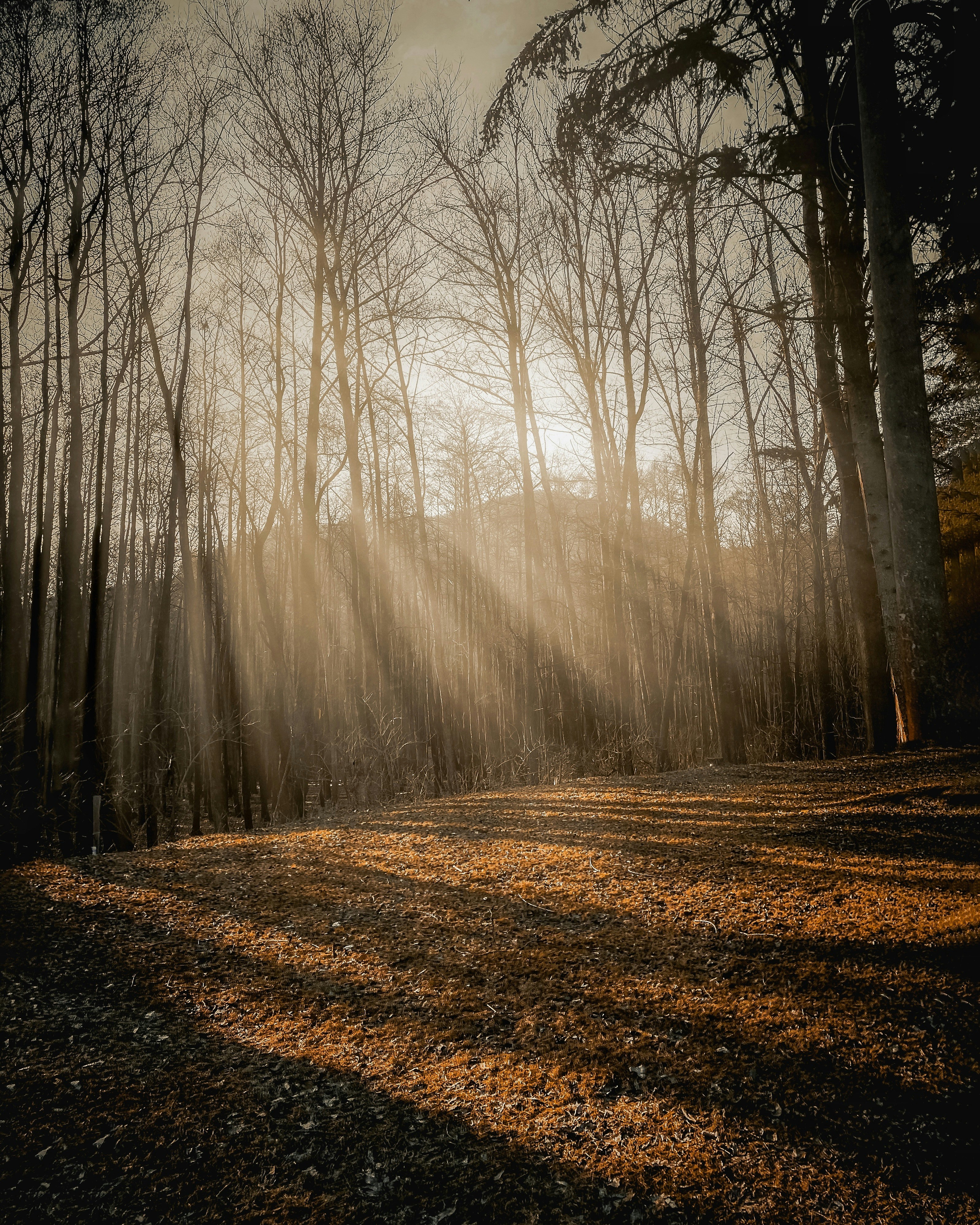 Photo by rushilologist