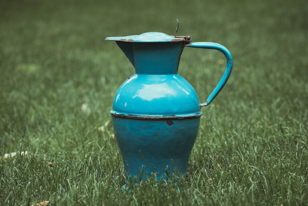 a blue pitcher sitting on top of a lush green field