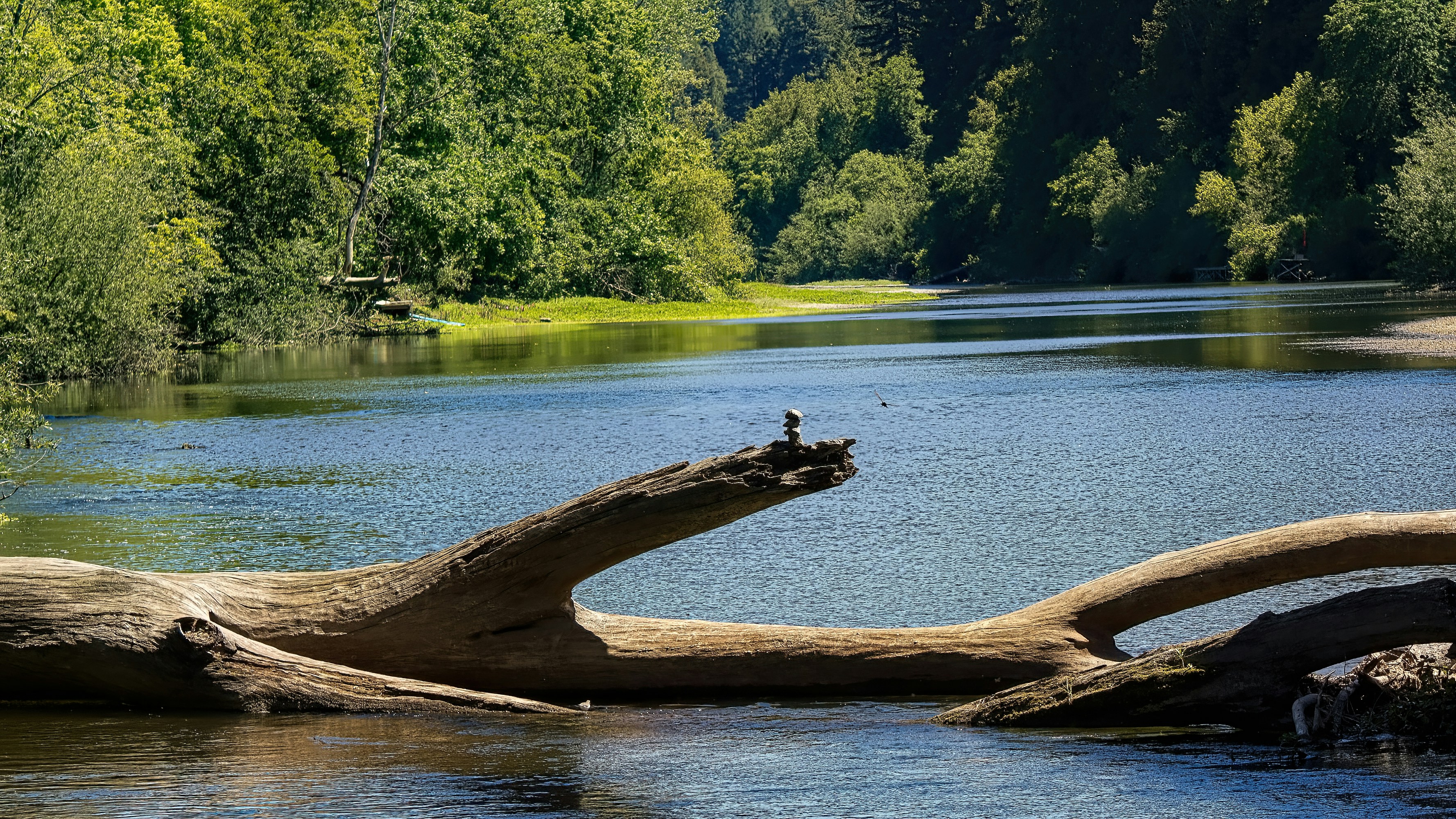 Day Around the Bay: Another Death on the Russian River