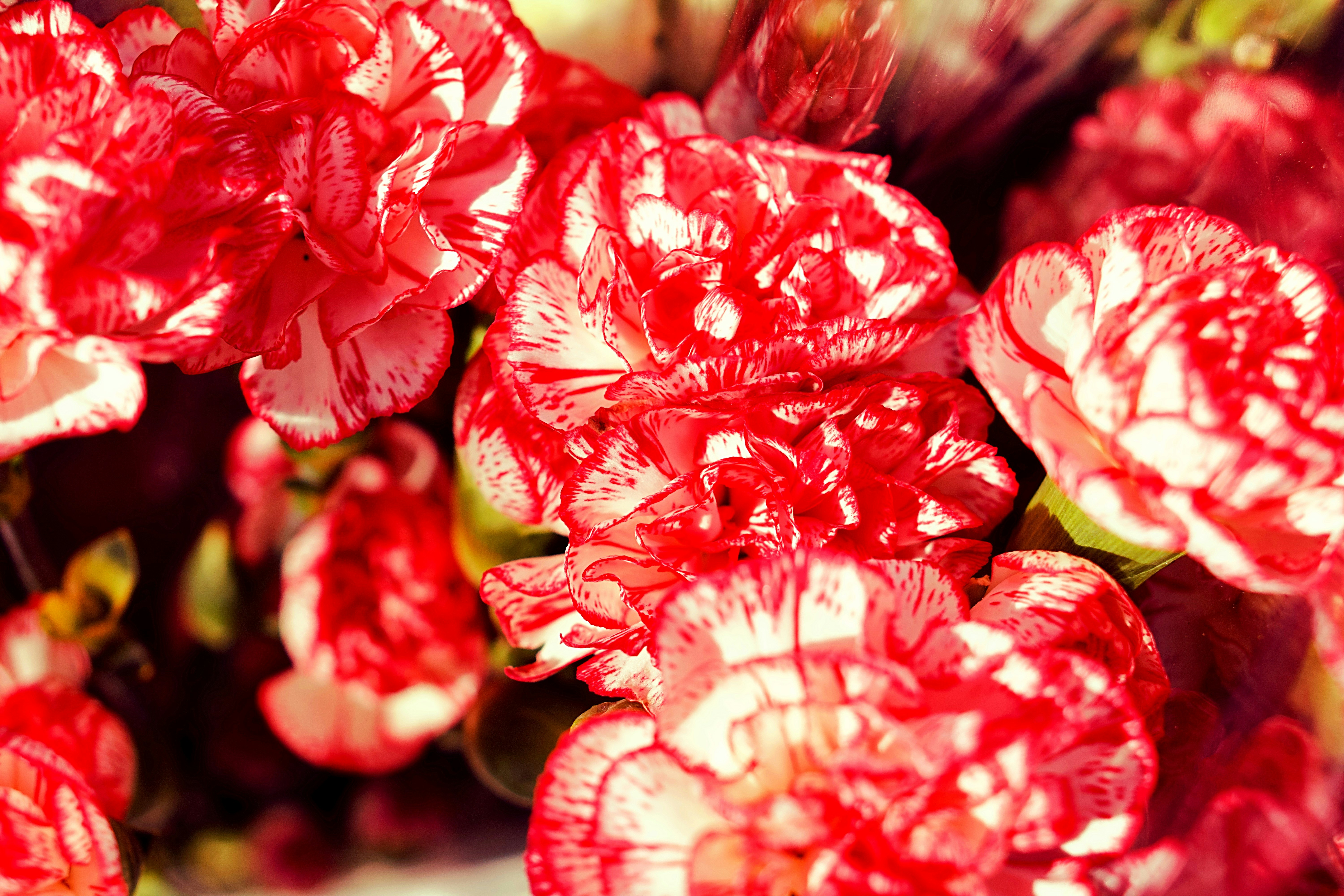 Photo by gabriellejace707