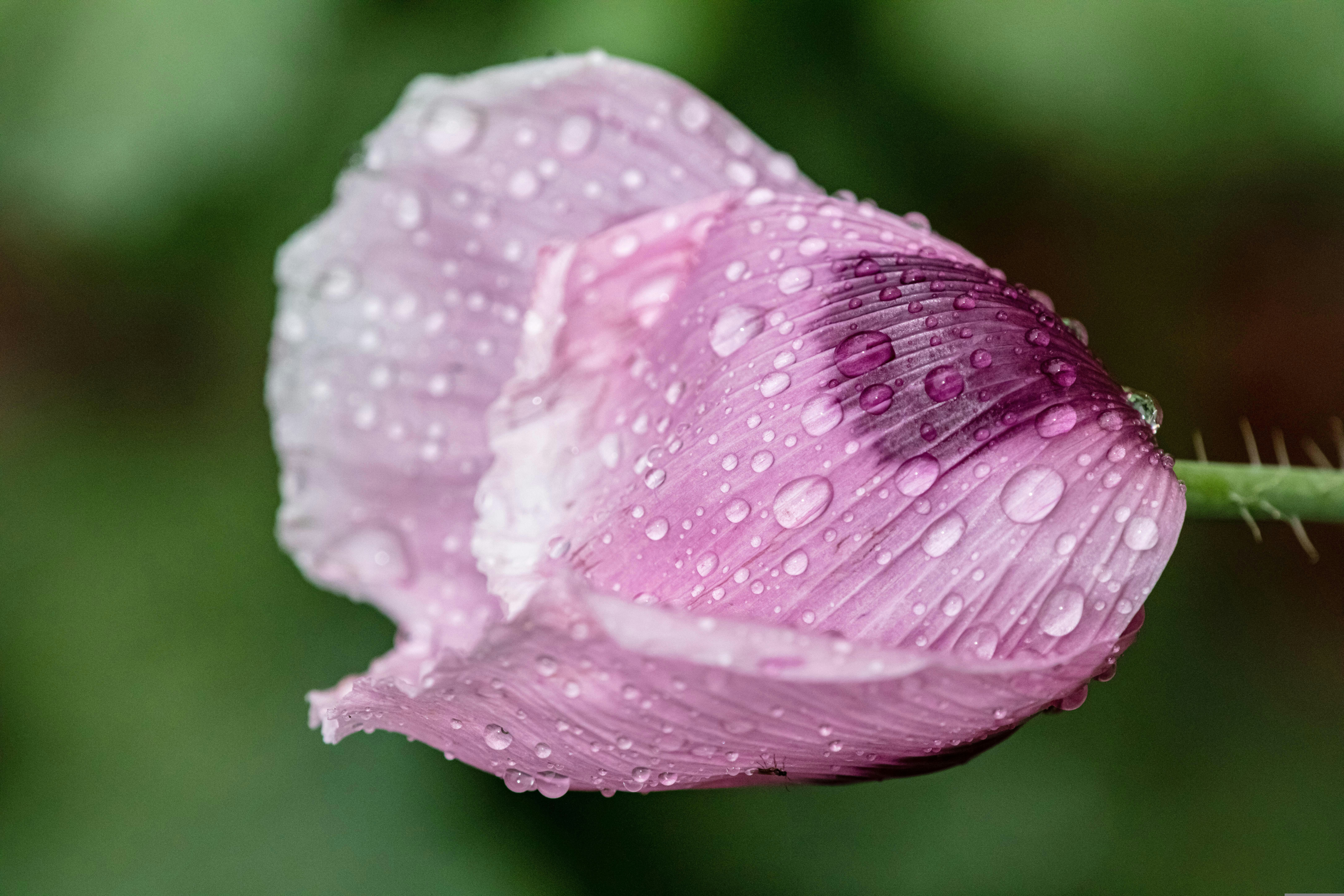 Photo by steer_photography