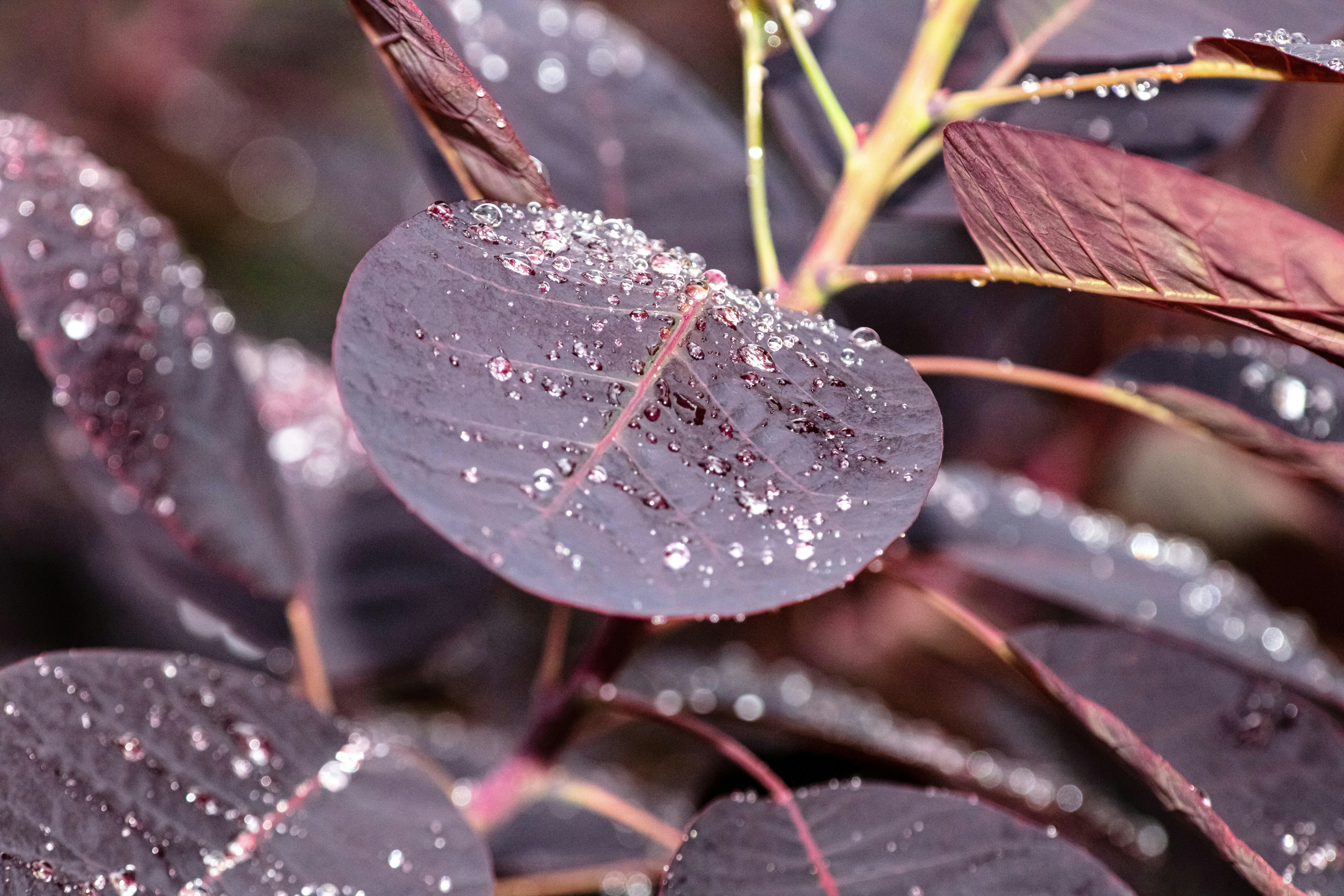 Photo by steer_photography