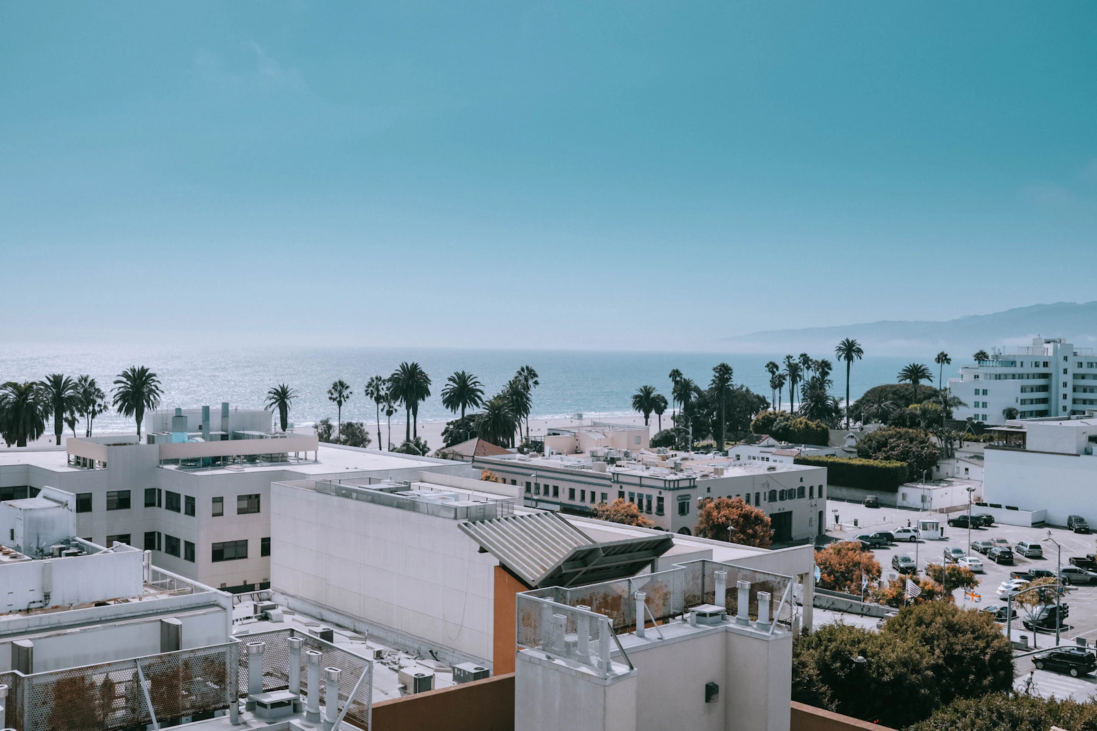 Santa Monica neighborhood buildings and palm trees with the Pacific Ocean in the background