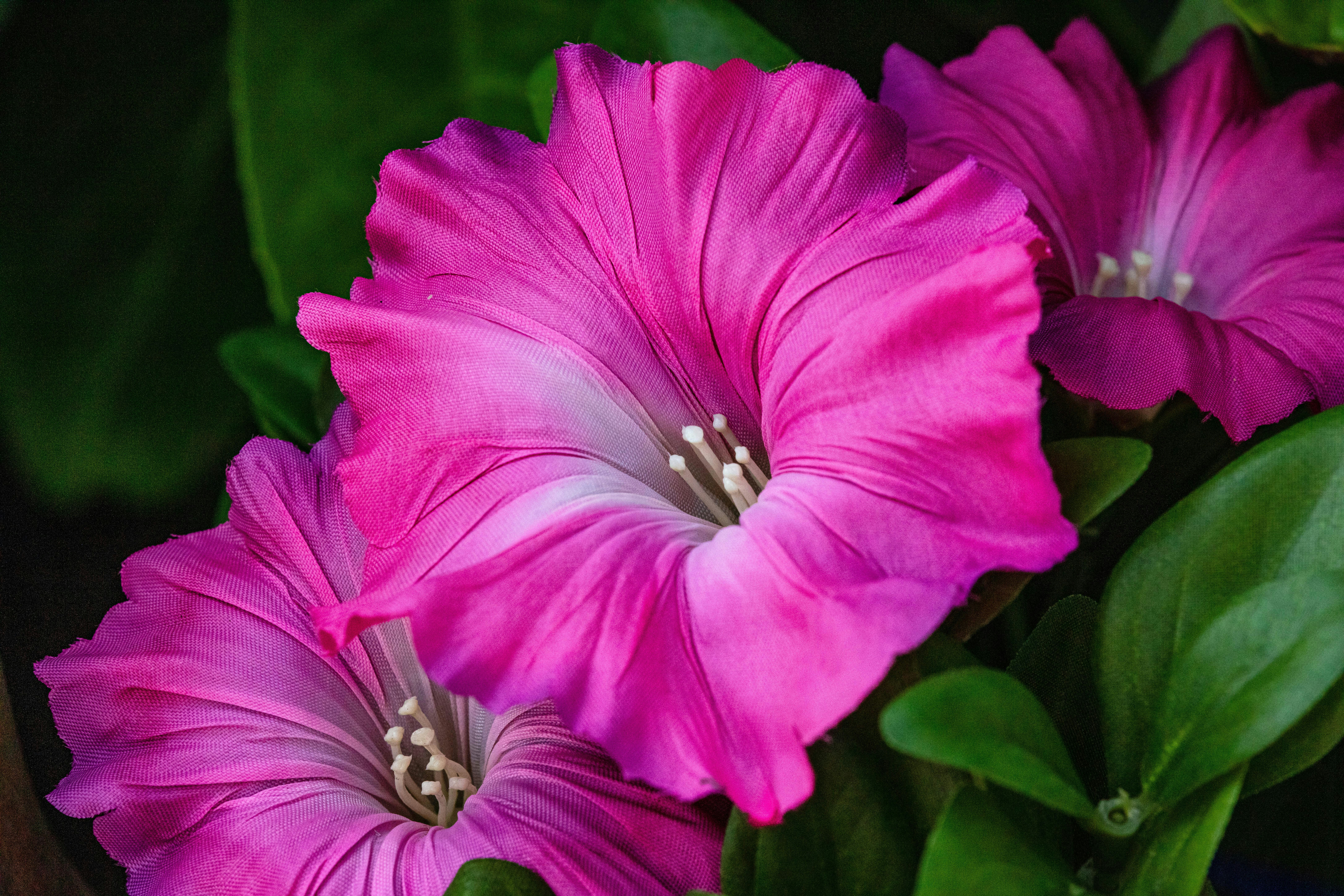 Photo by steer_photography