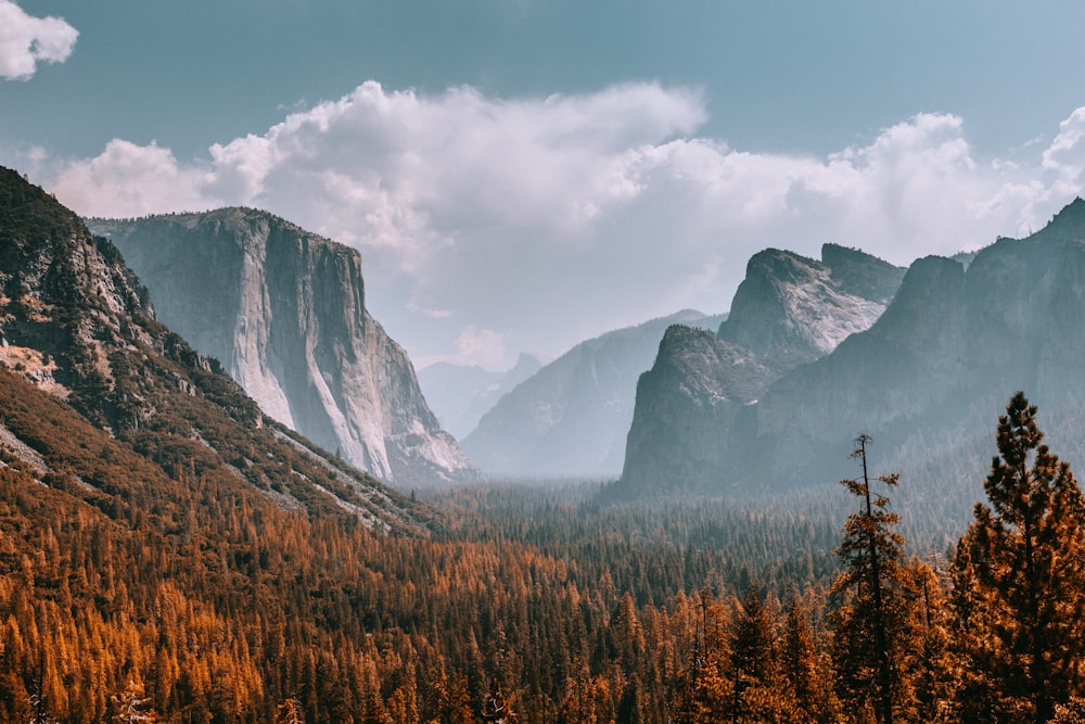 une vue d’une chaîne de montagnes avec des arbres au premier plan