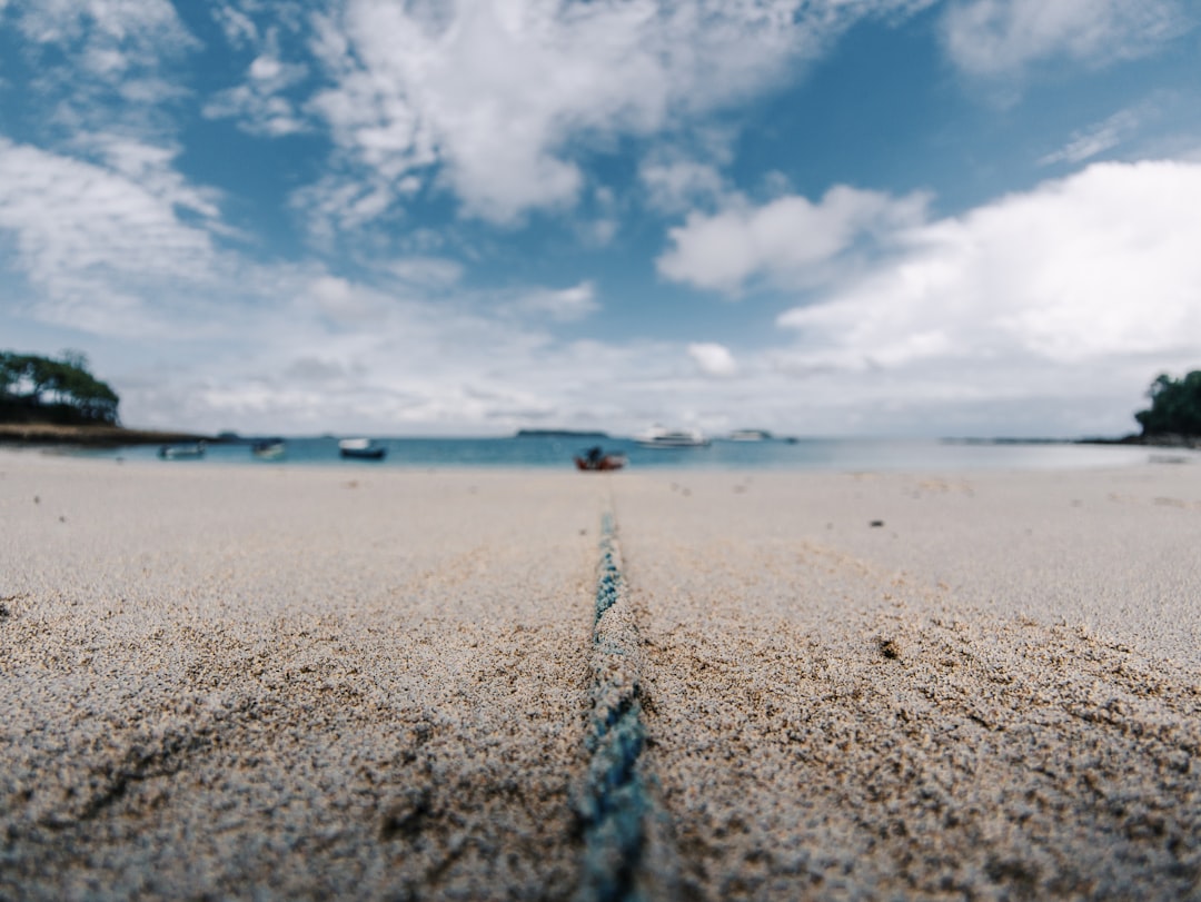 a beach with a line drawn in the sand,