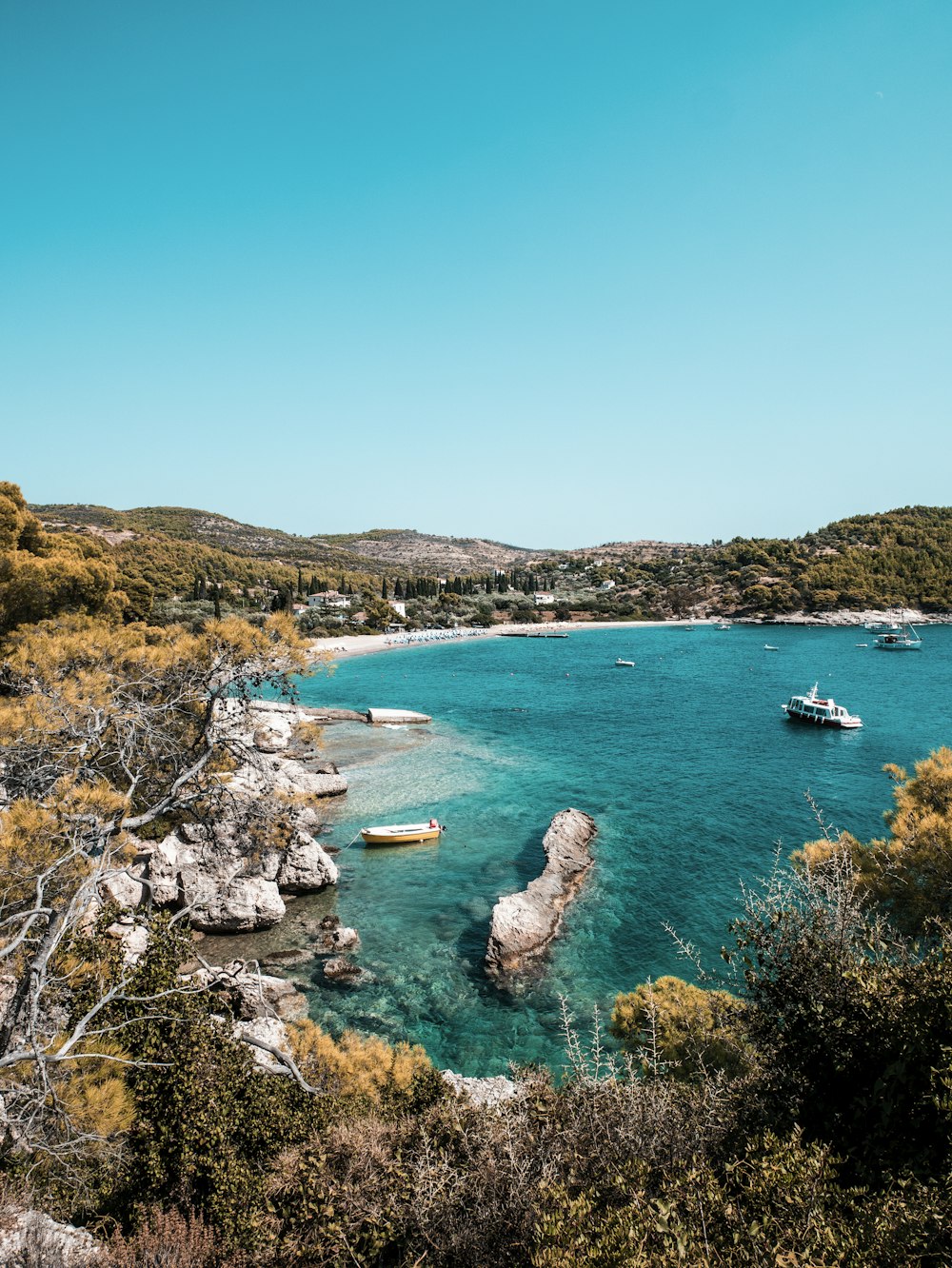 a body of water surrounded by trees and rocks