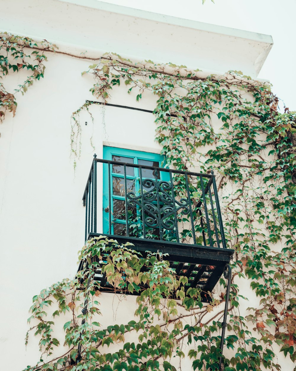 a balcony with a window covered in vines