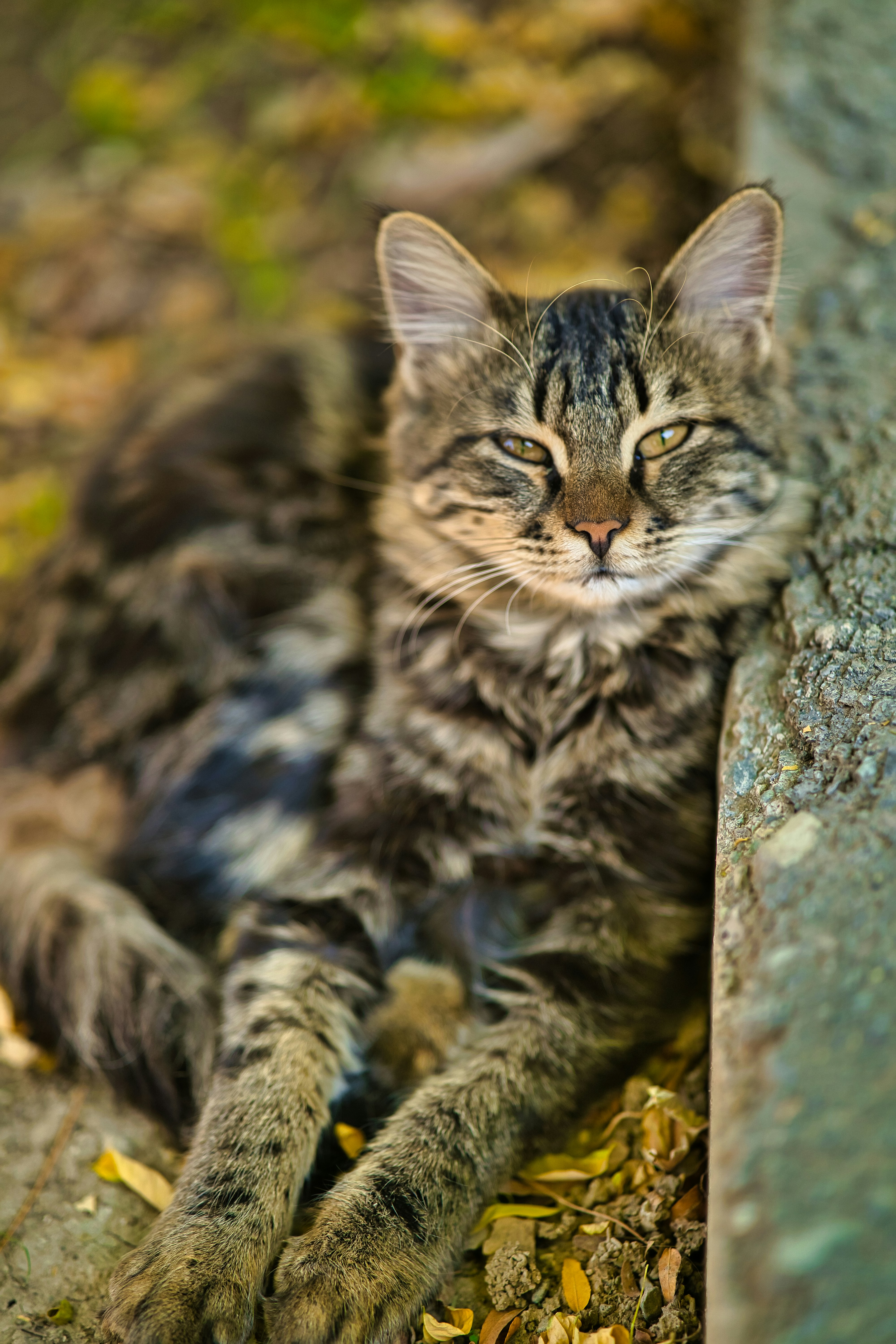 Photo by akbarnemati