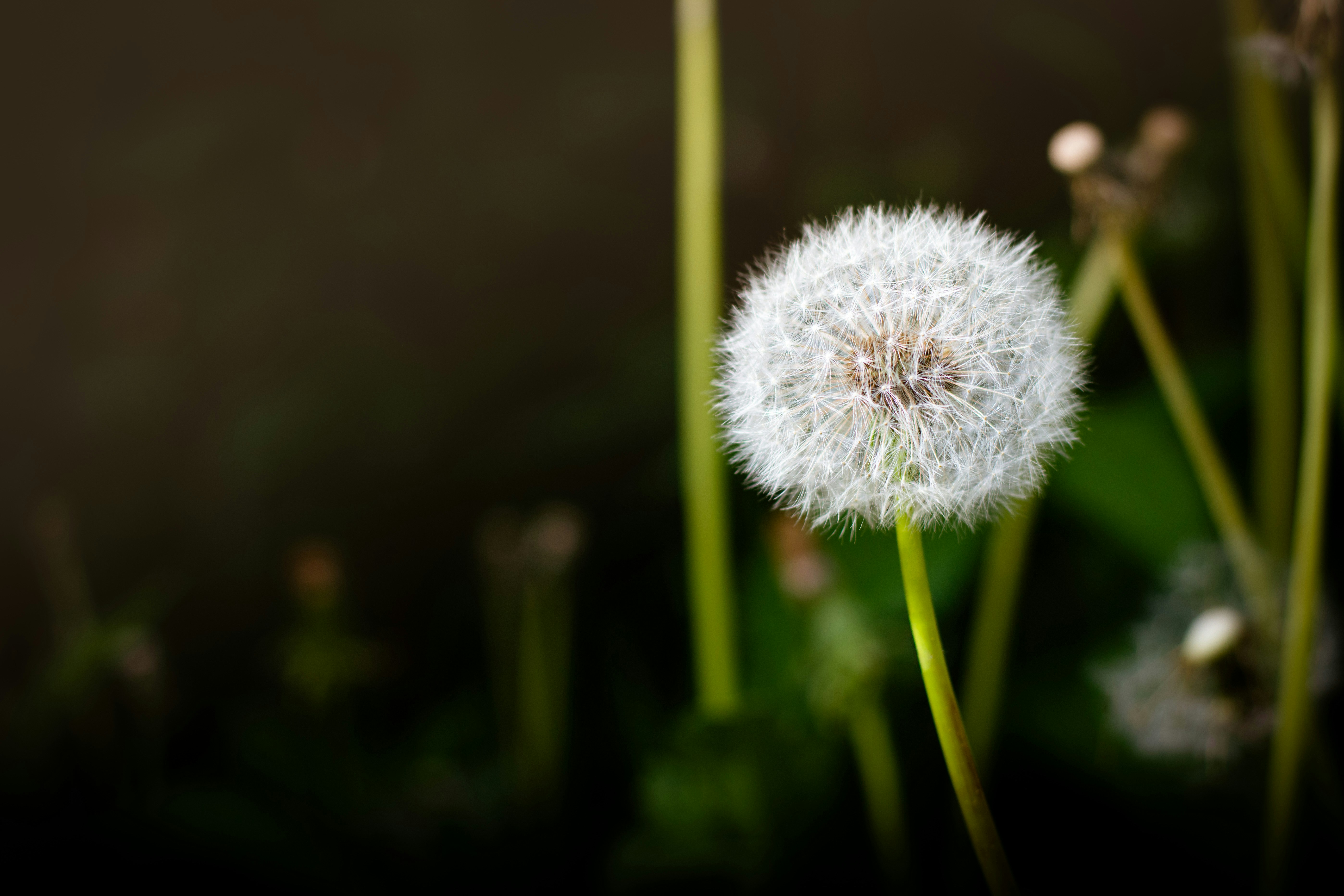 Photo by alexbc_photographer