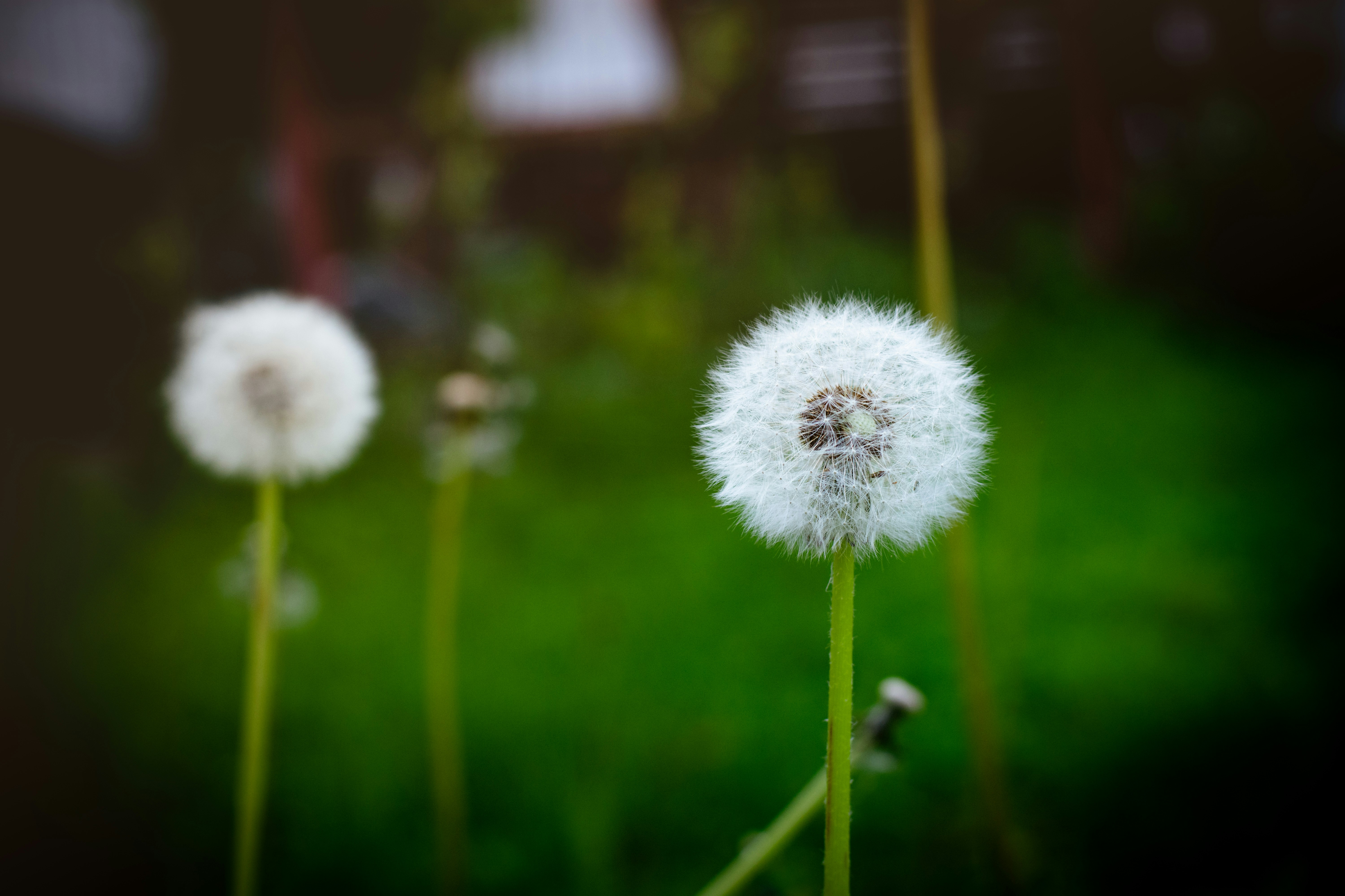 Photo by alexbc_photographer