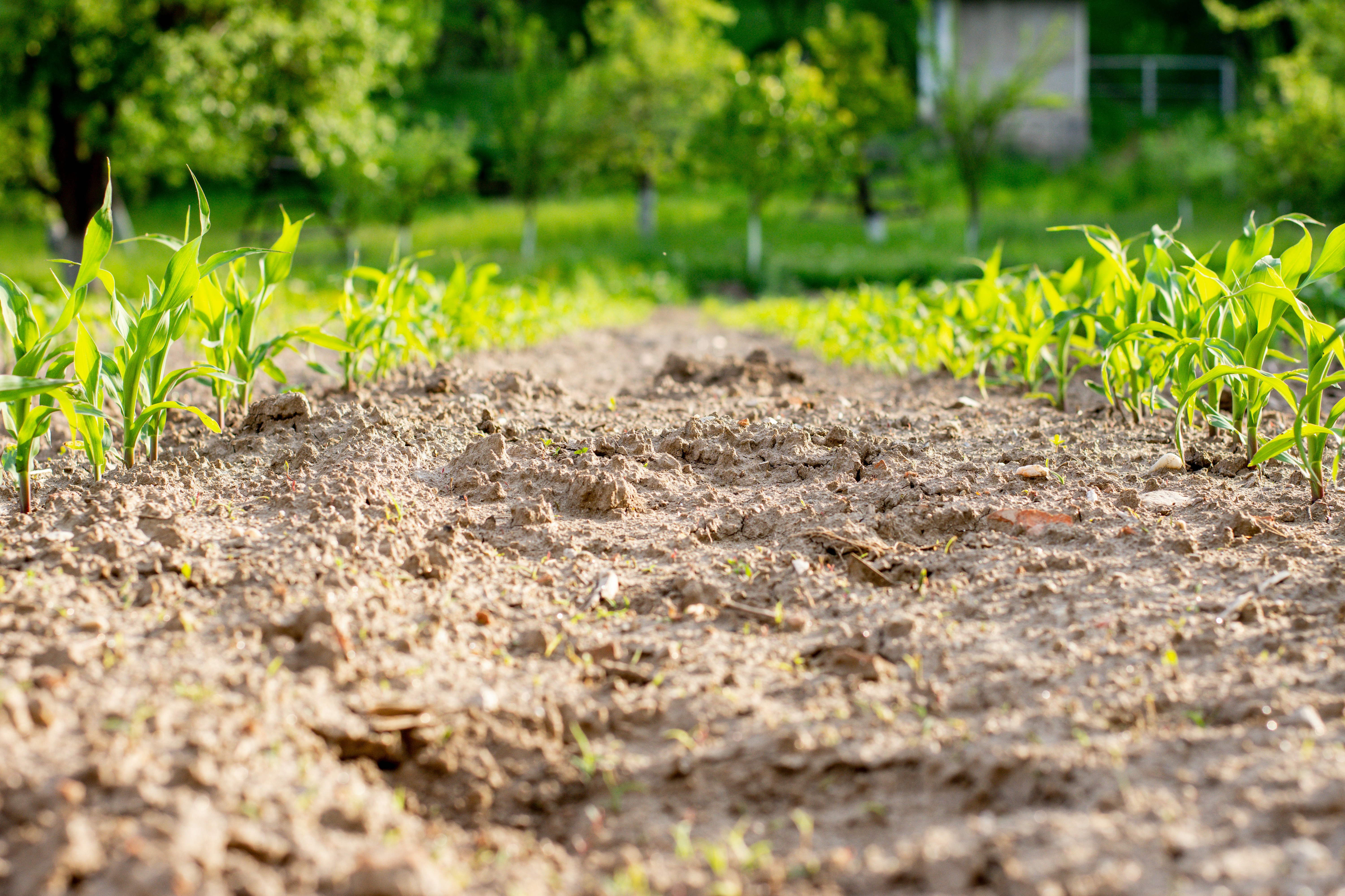 Photo by alexbc_photographer