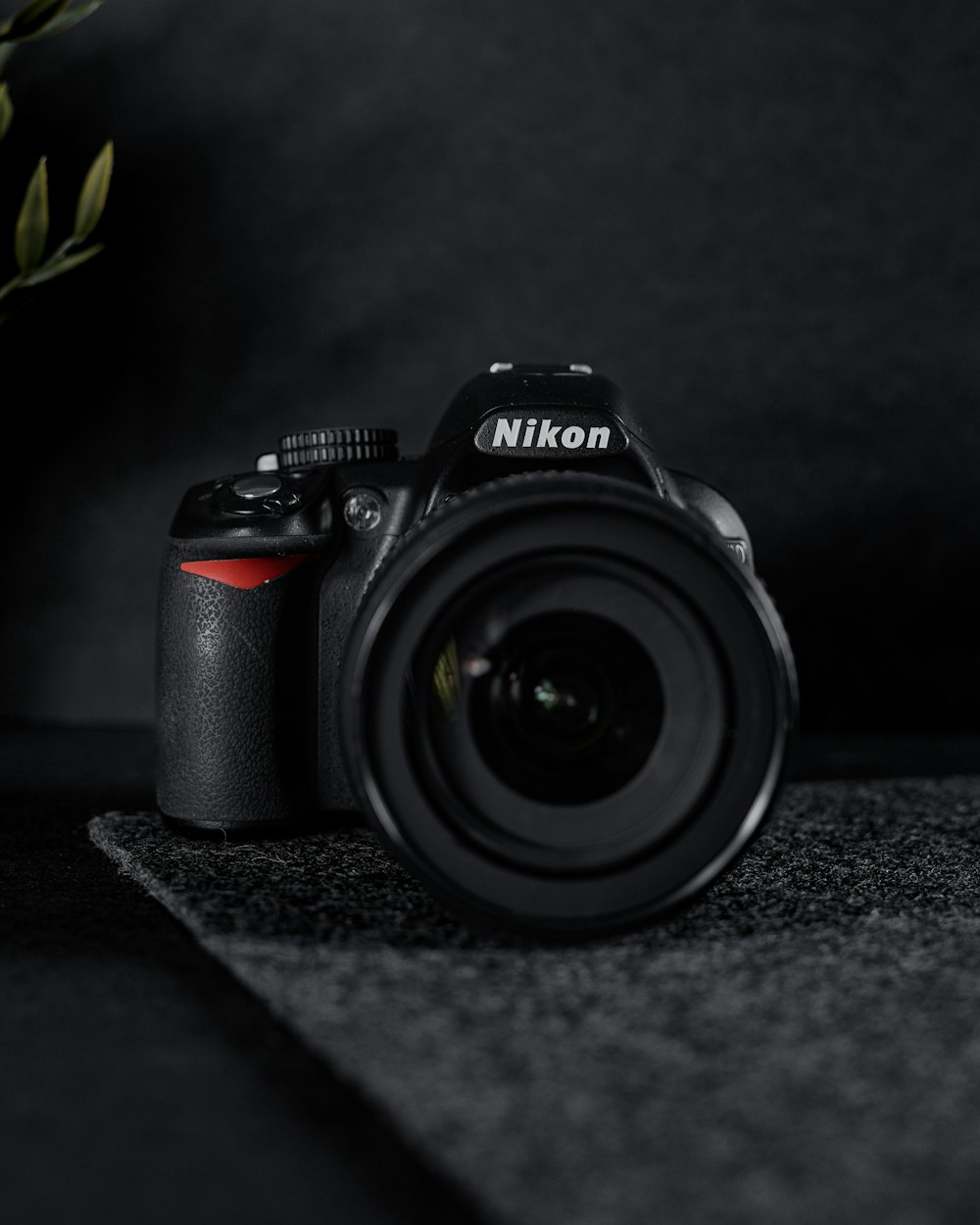 a camera sitting on top of a table next to a plant