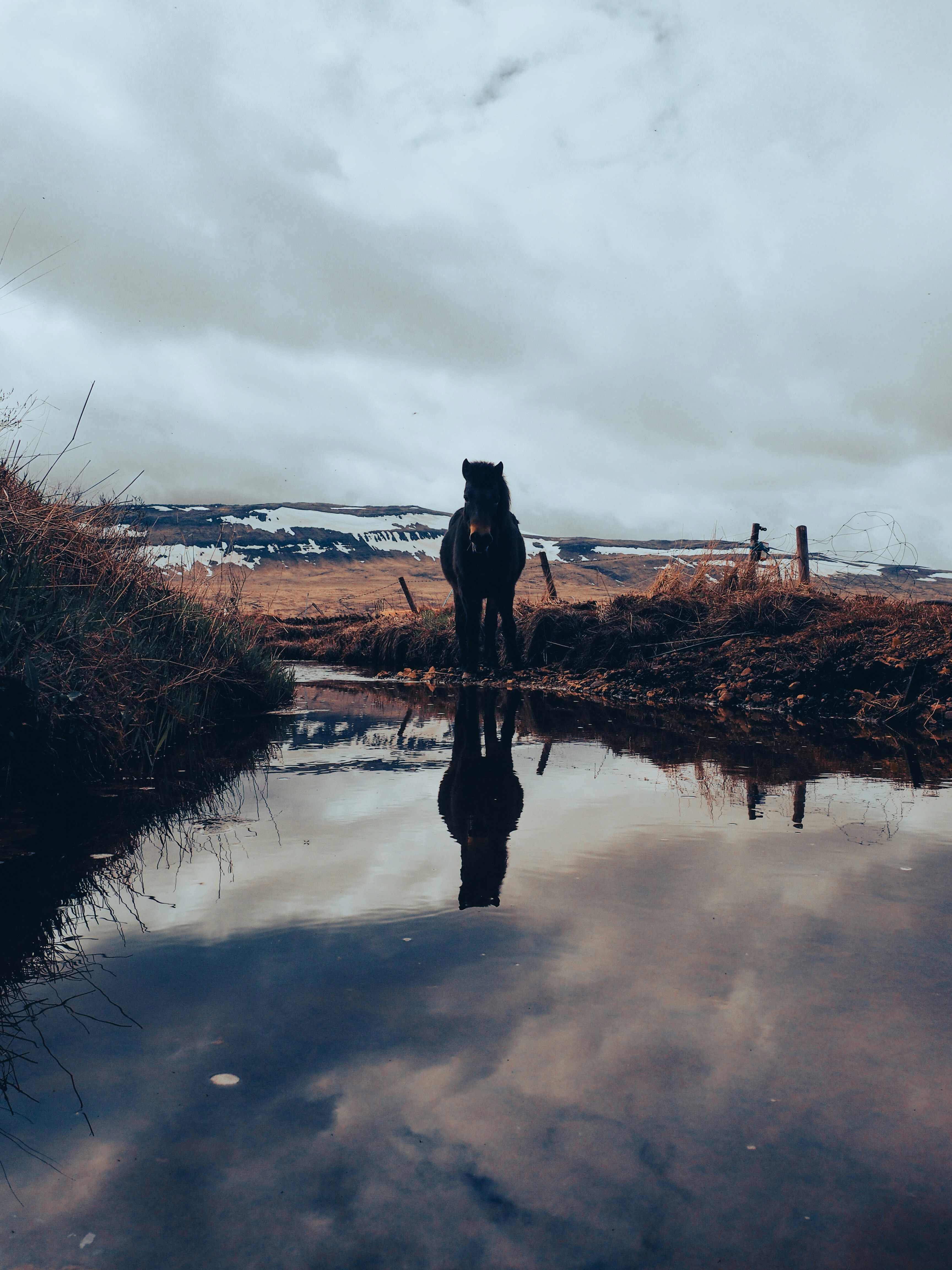 Photo by el_morillas