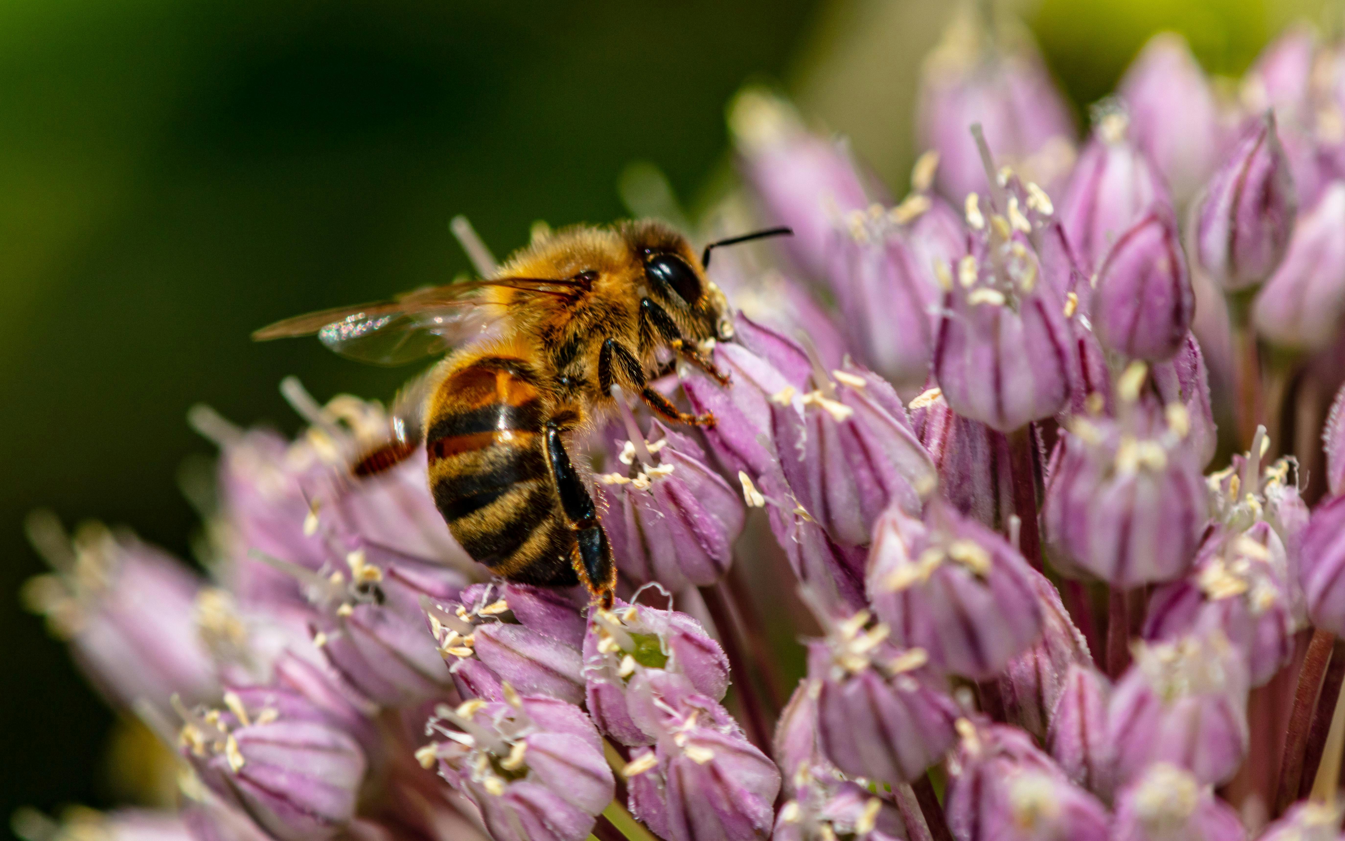 Photo by steer_photography