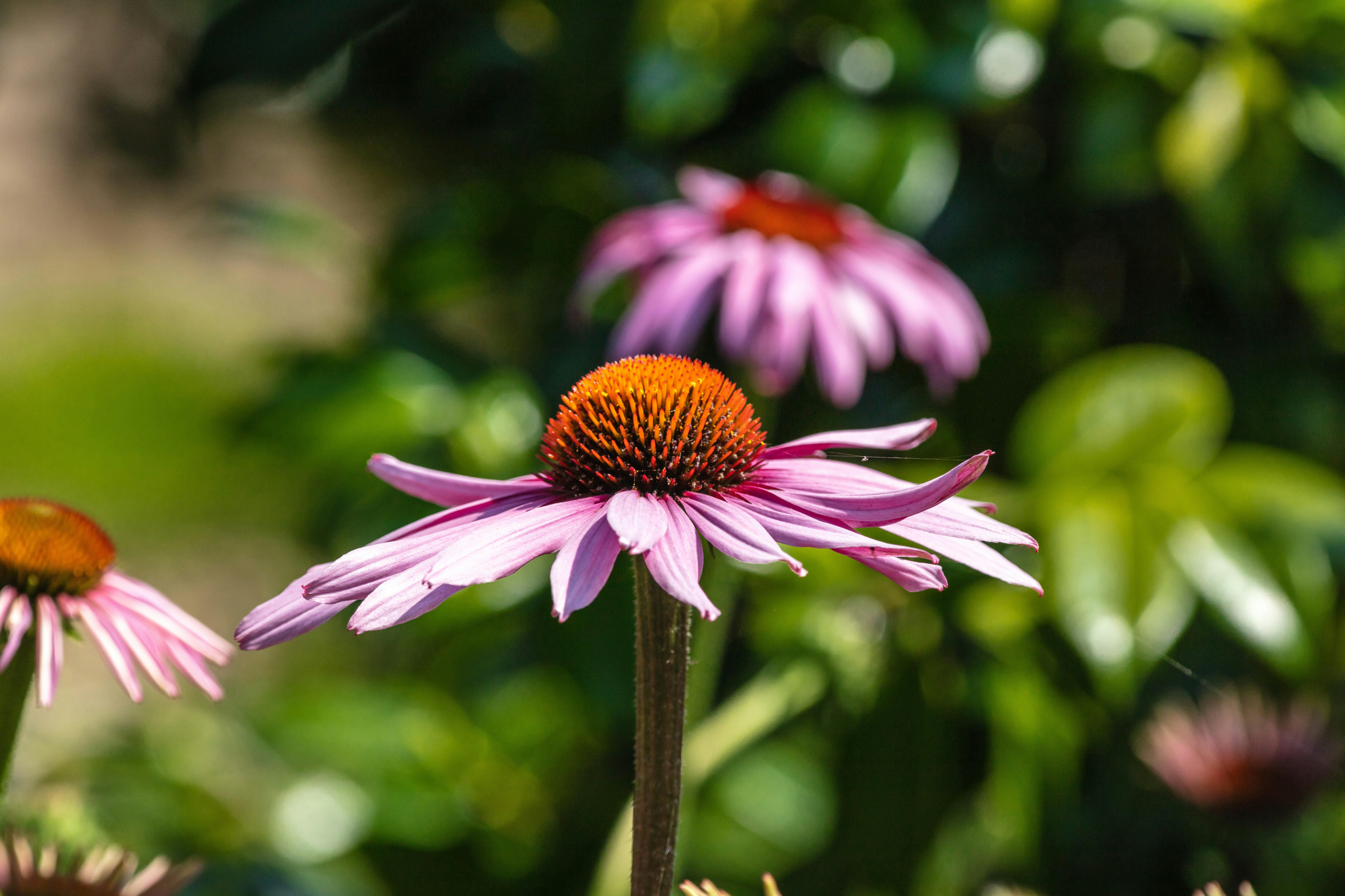 Photo by steer_photography