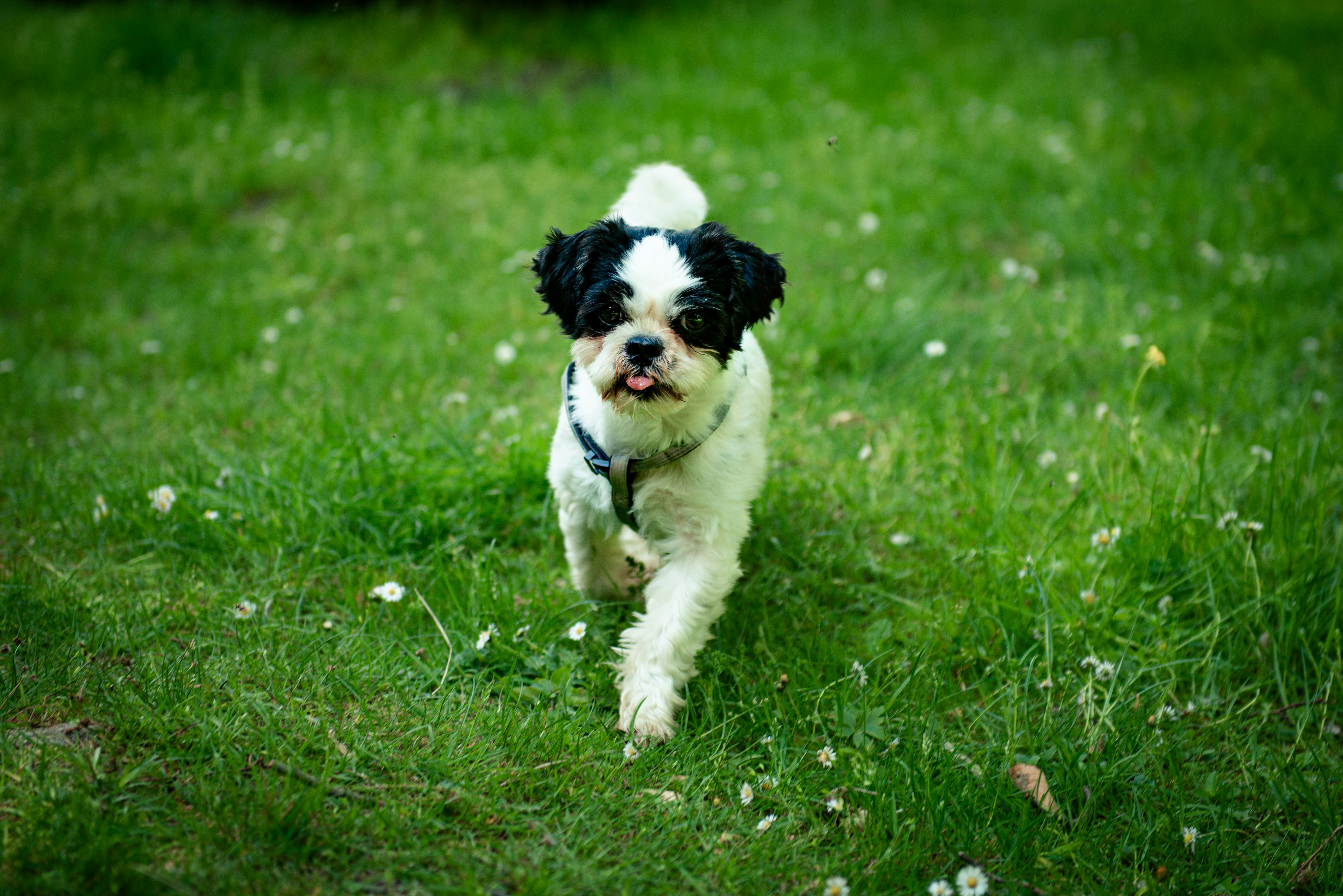 Photo by alexbc_photographer