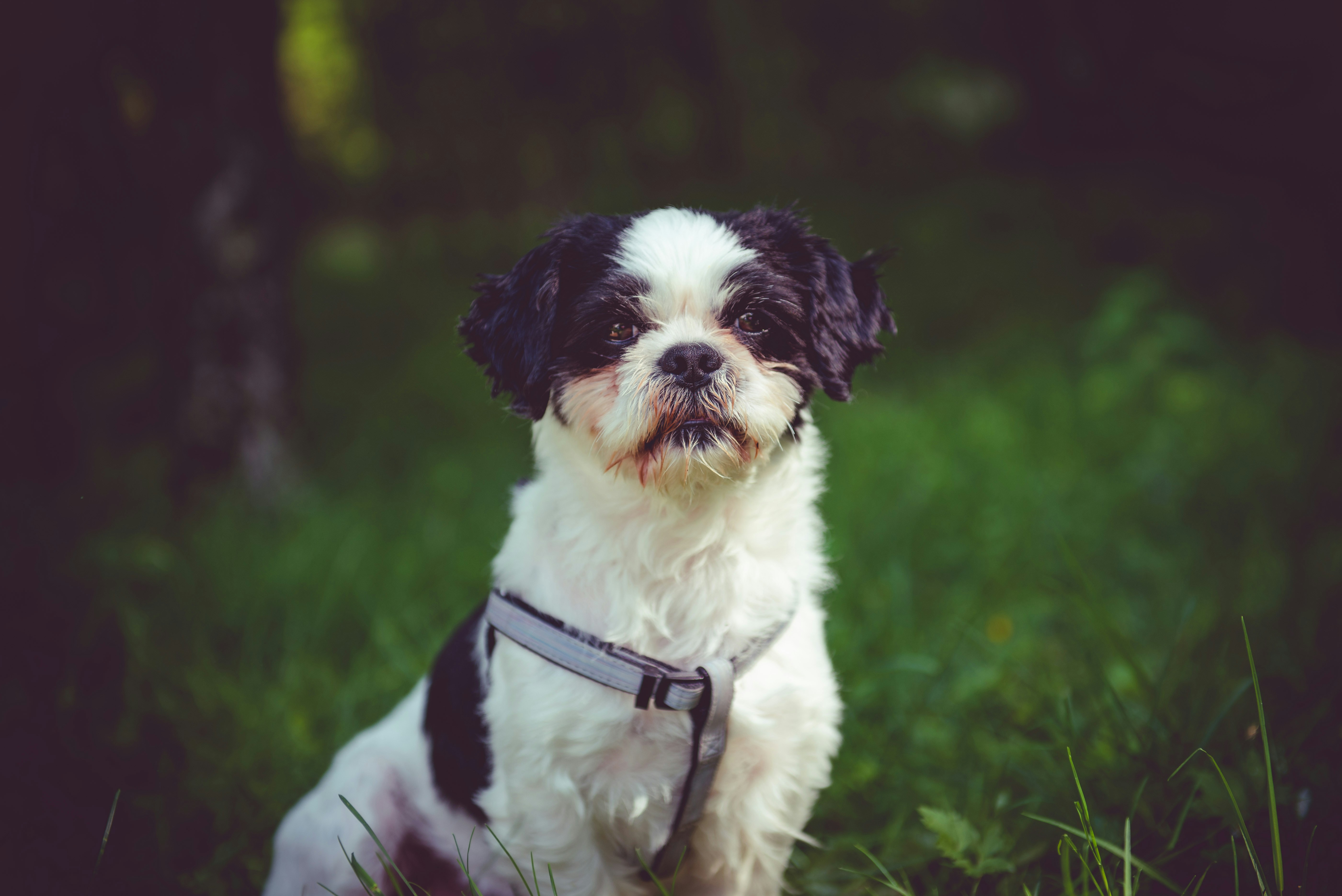 Photo by alexbc_photographer