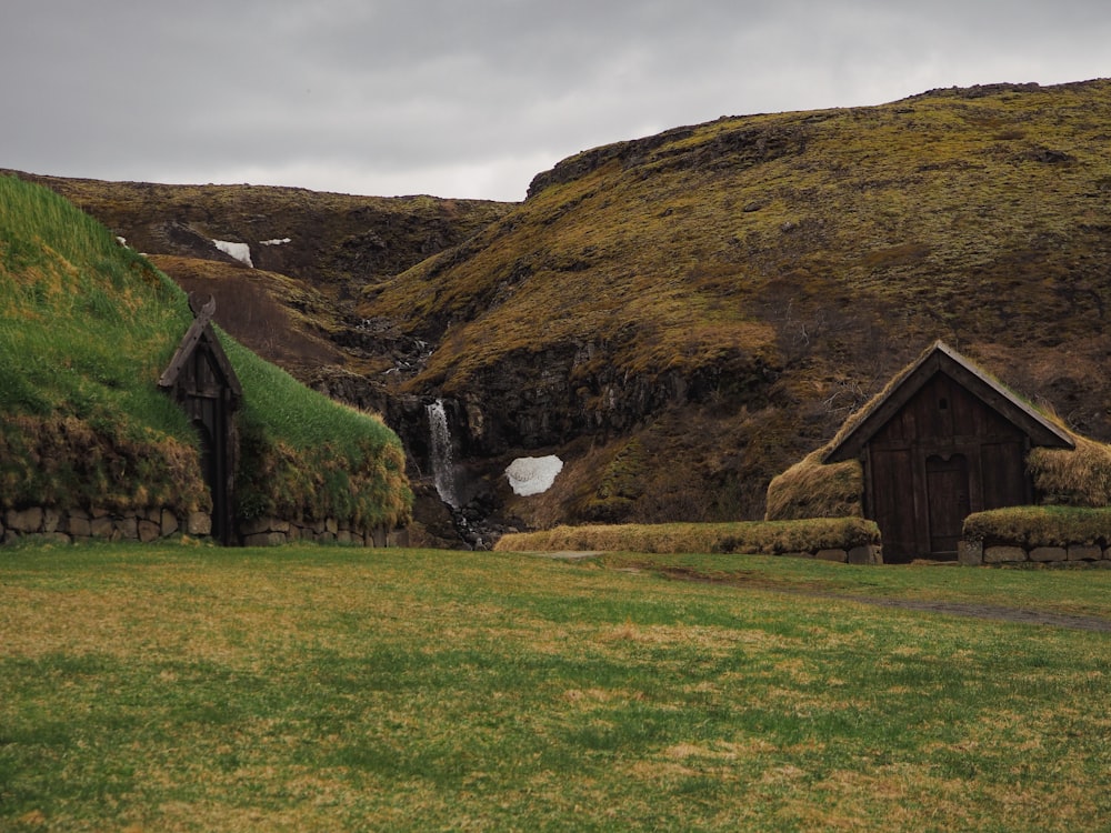 a grassy field with a waterfall in the background