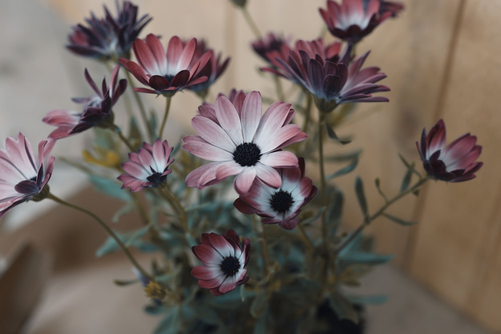 a bunch of pink and white flowers in a vase