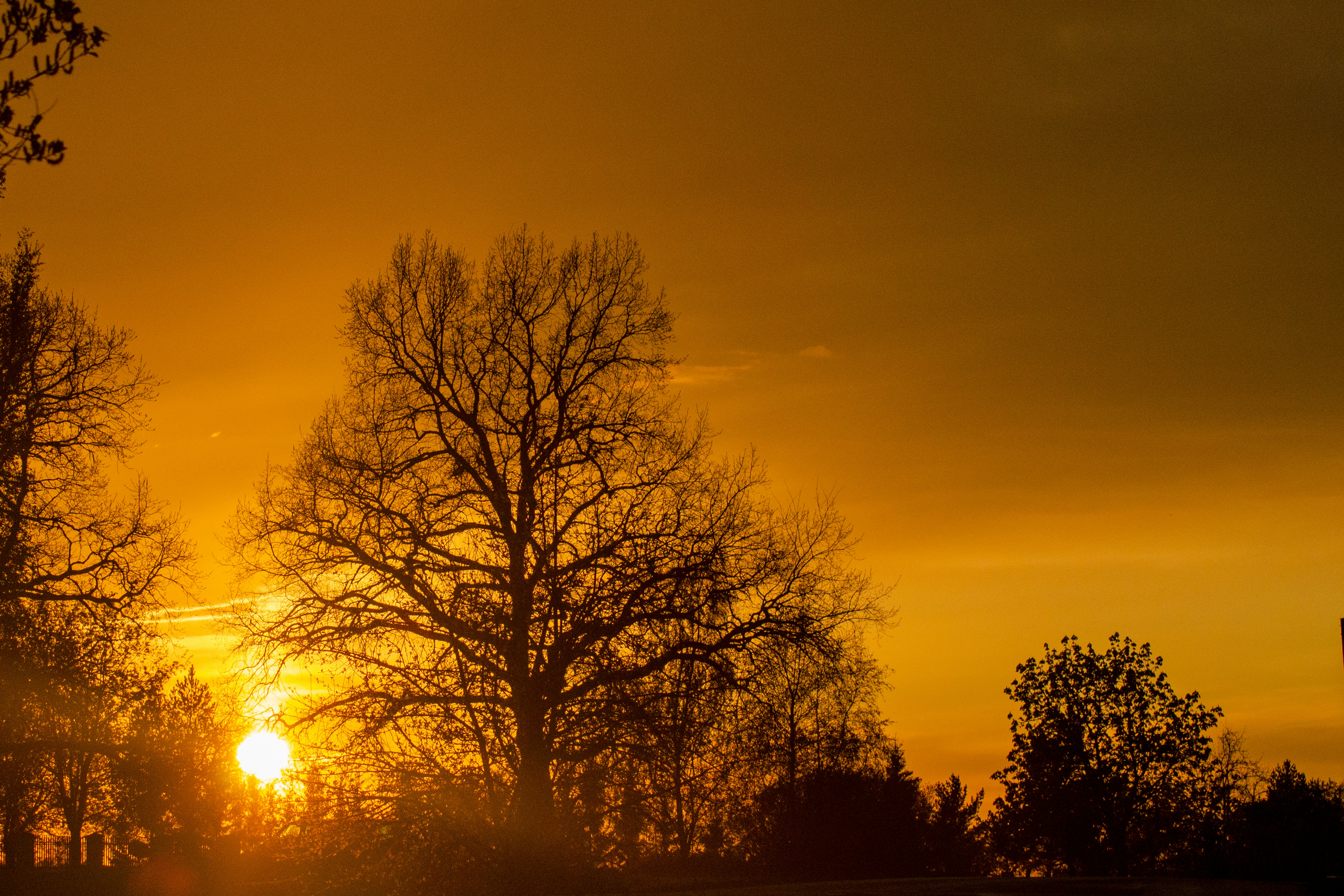 Photo by peepsaluvee