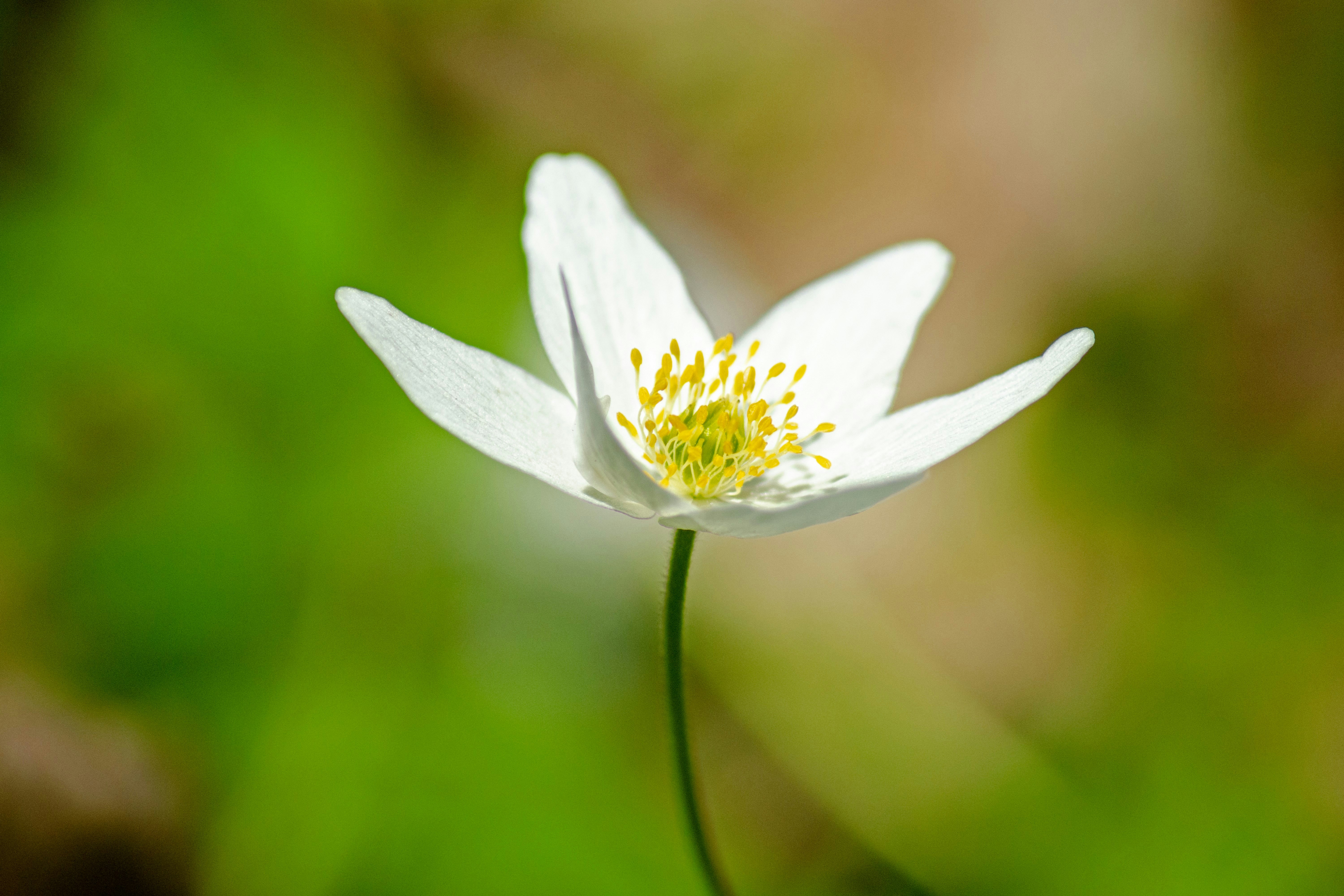 Photo by peepsaluvee