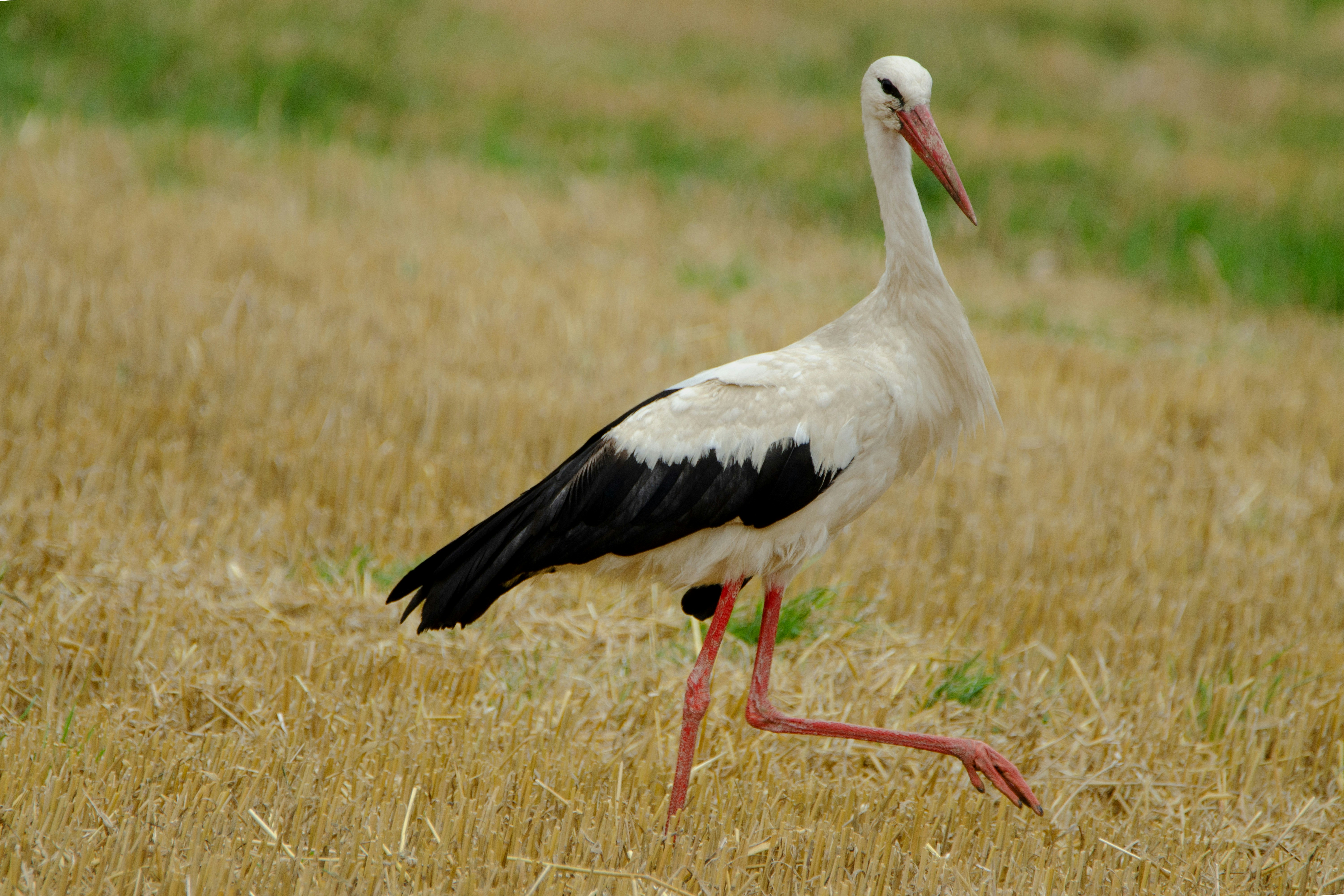 Photo by peepsaluvee