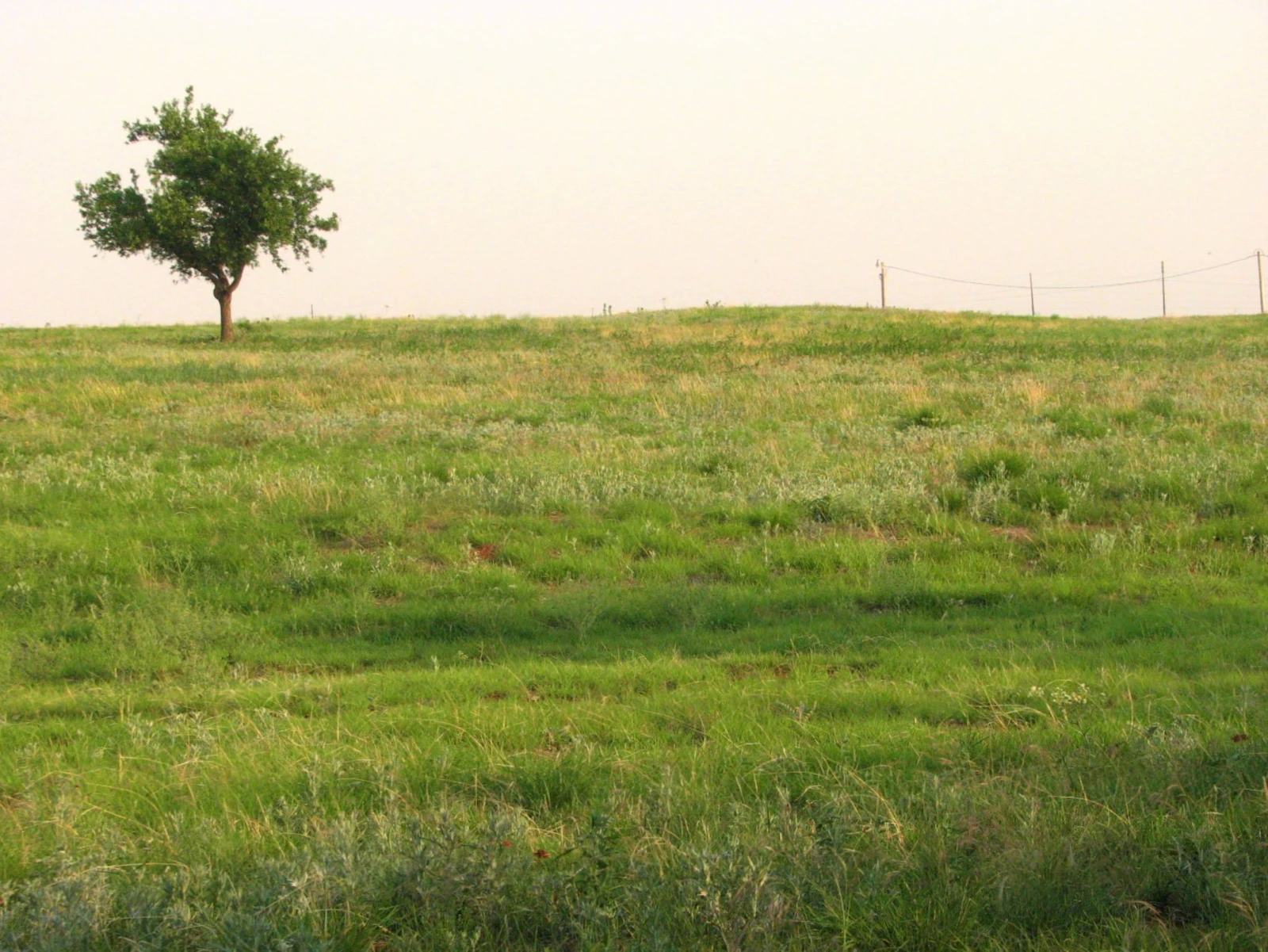 A raw development site in Portugal