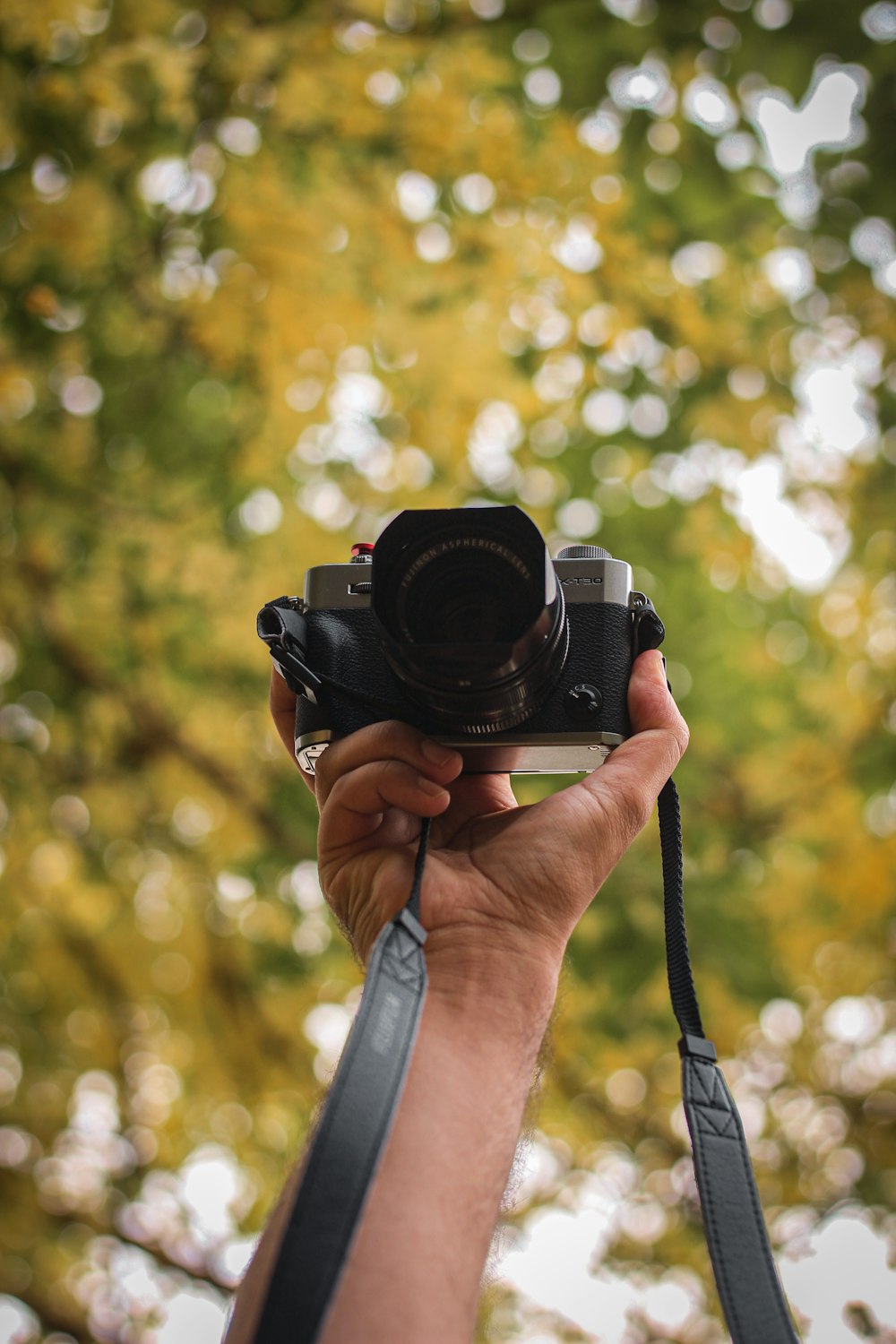 a person holding a camera in front of a tree