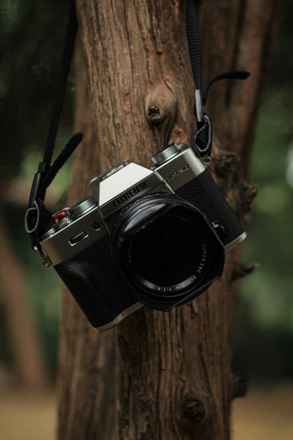 Una macchina fotografica appesa a un albero in una foresta