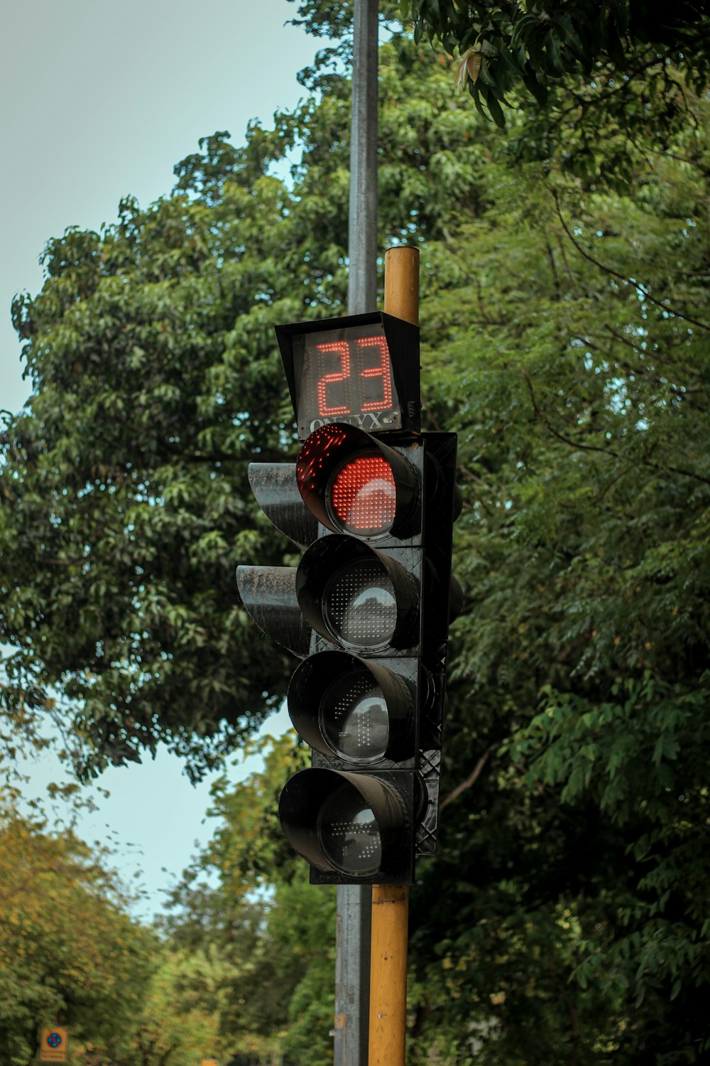 eine Ampel an einem Mast mit Bäumen im Hintergrund