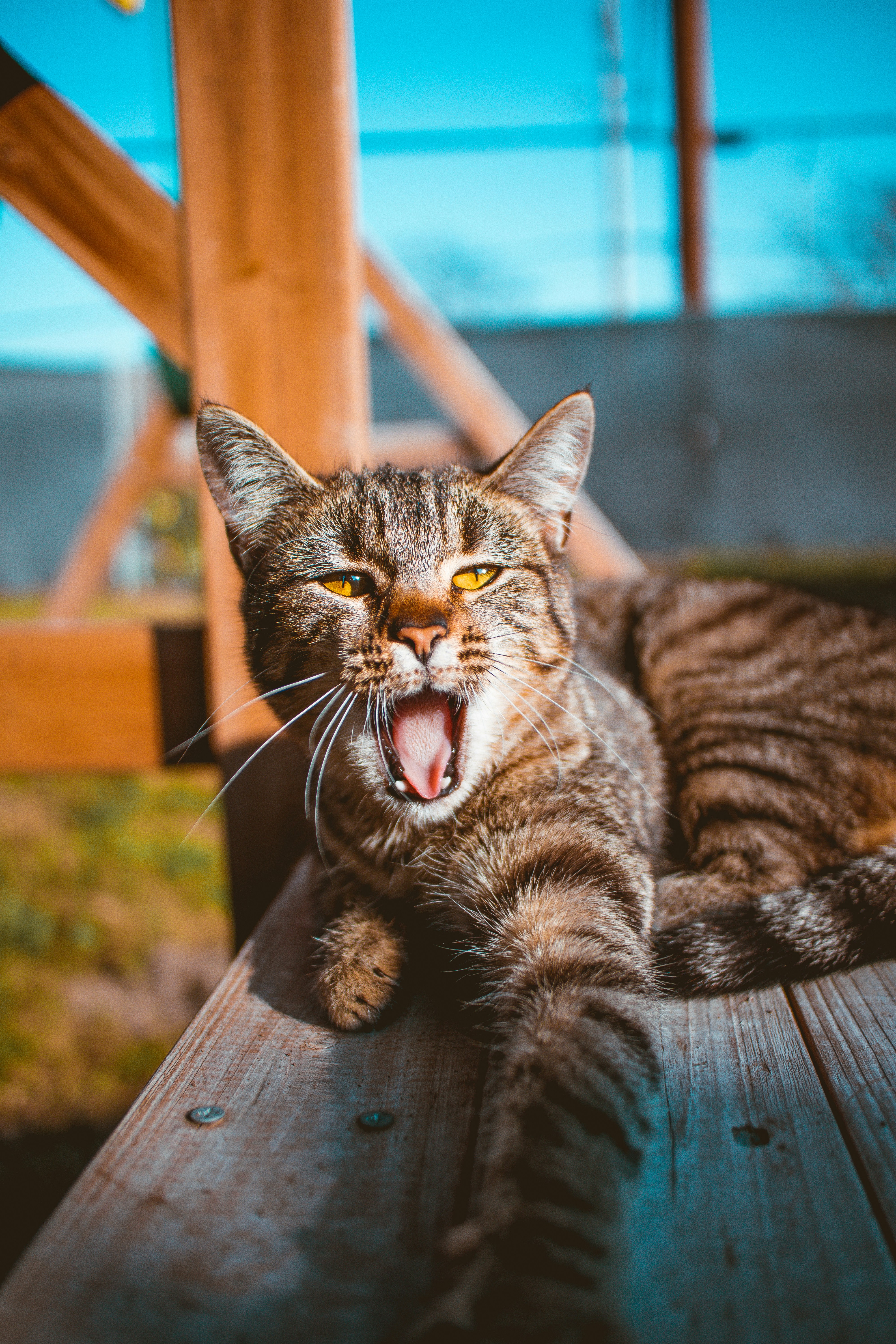 Photo by angelssloppyphotos