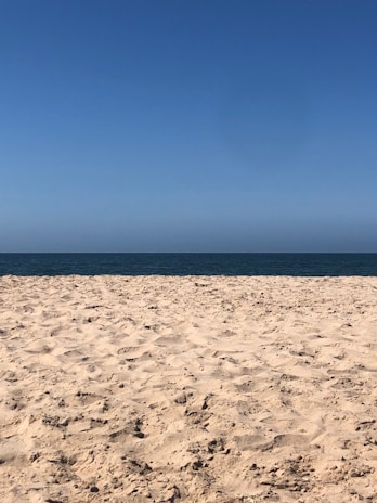A vast stretch of beachfront land with clear blue skies overhead.