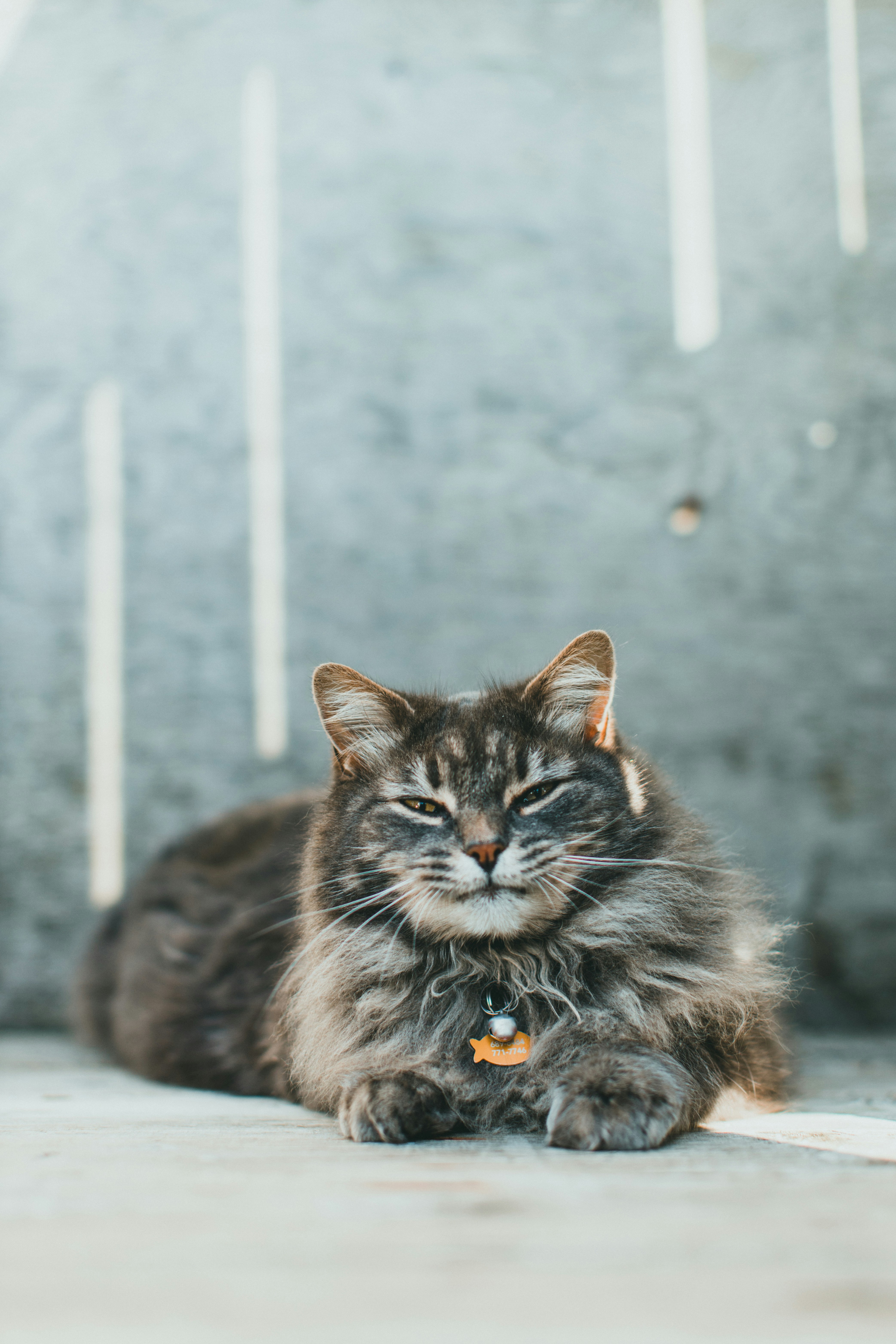 Photo by theshuttervision