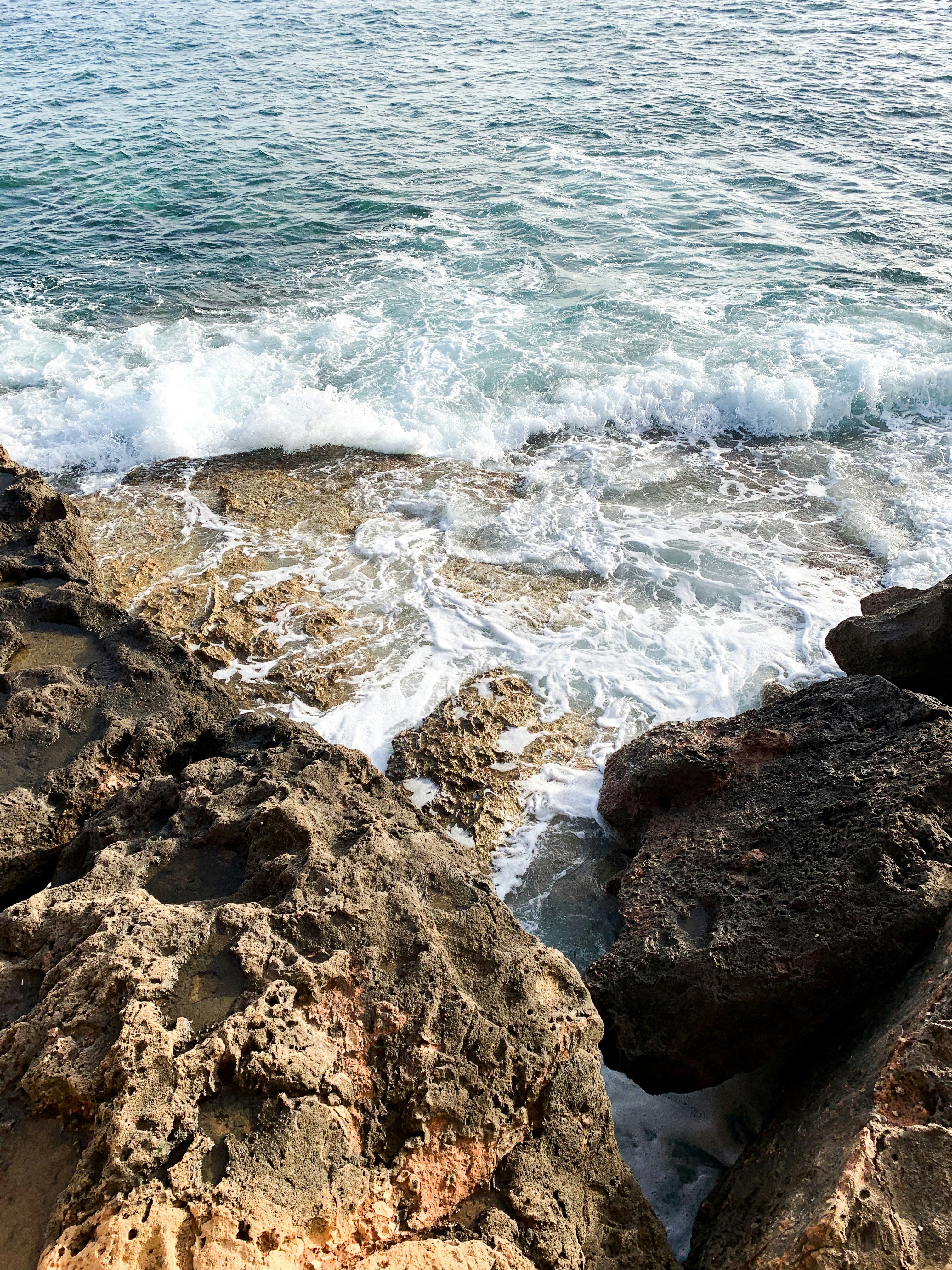 Photo by andreeamarialoga