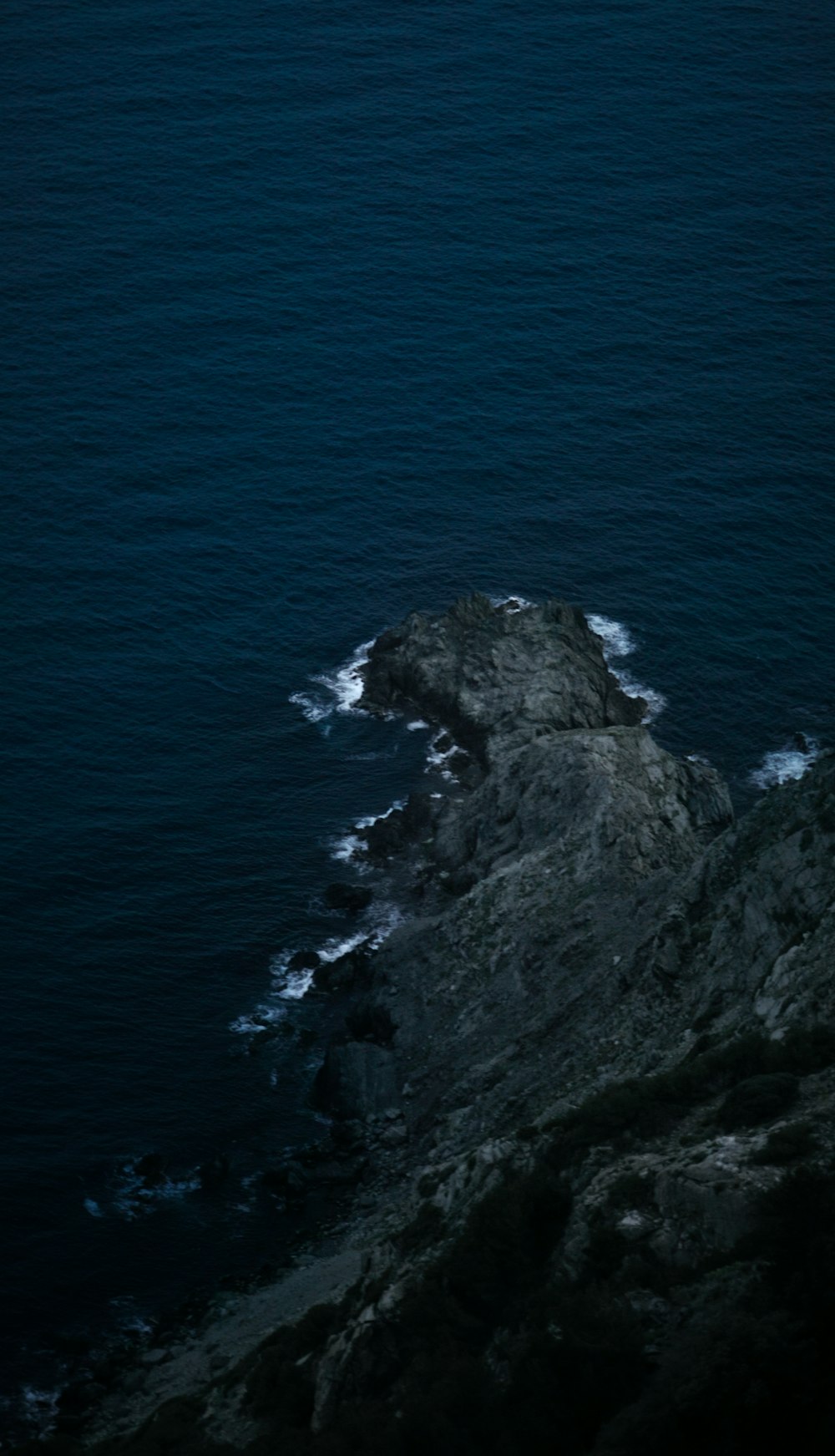 a bird flying over a body of water