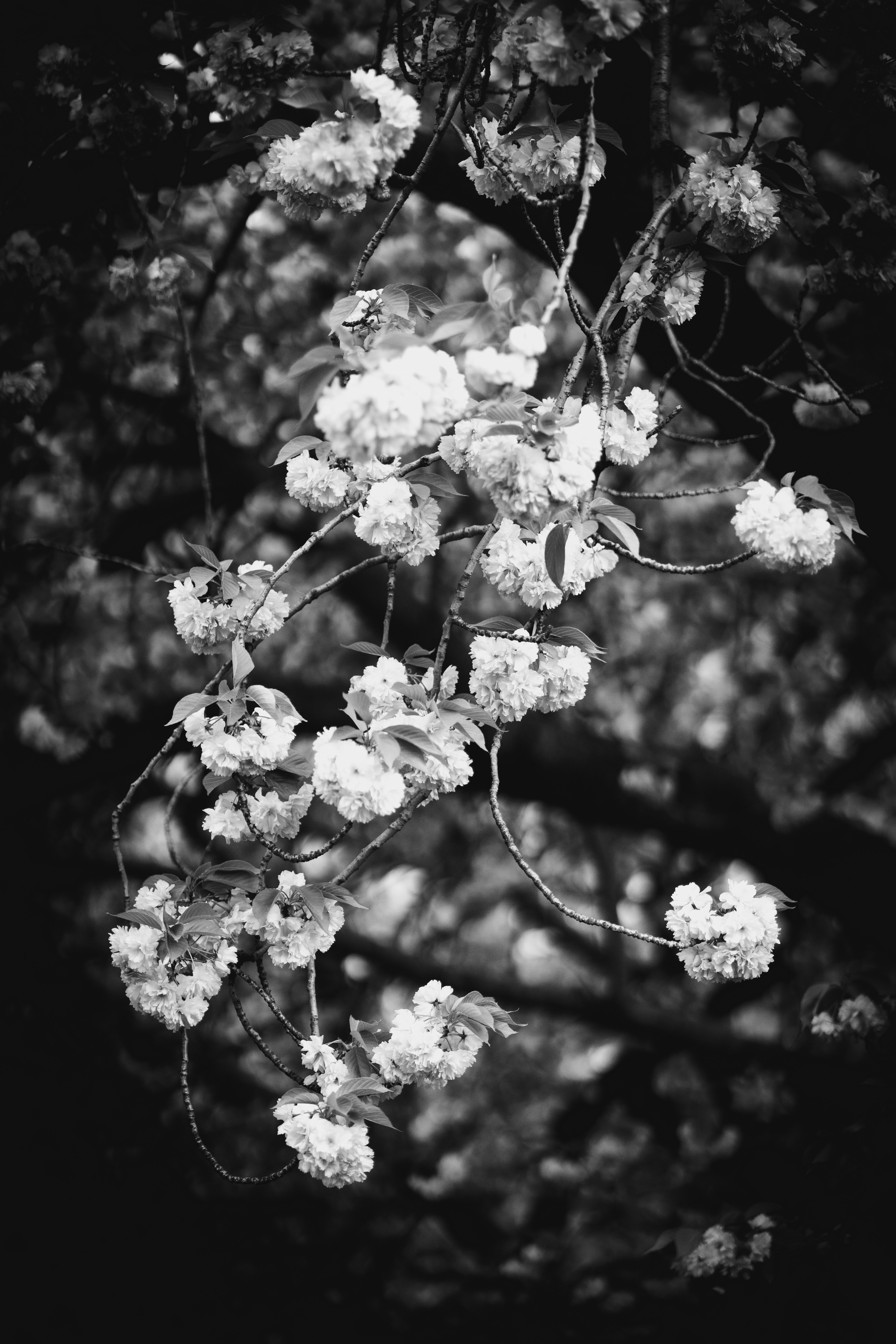 Photo by abhinav1bhardwaj