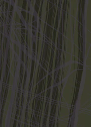 Clean white background with subtle green lines tracing upward geometric patterns.